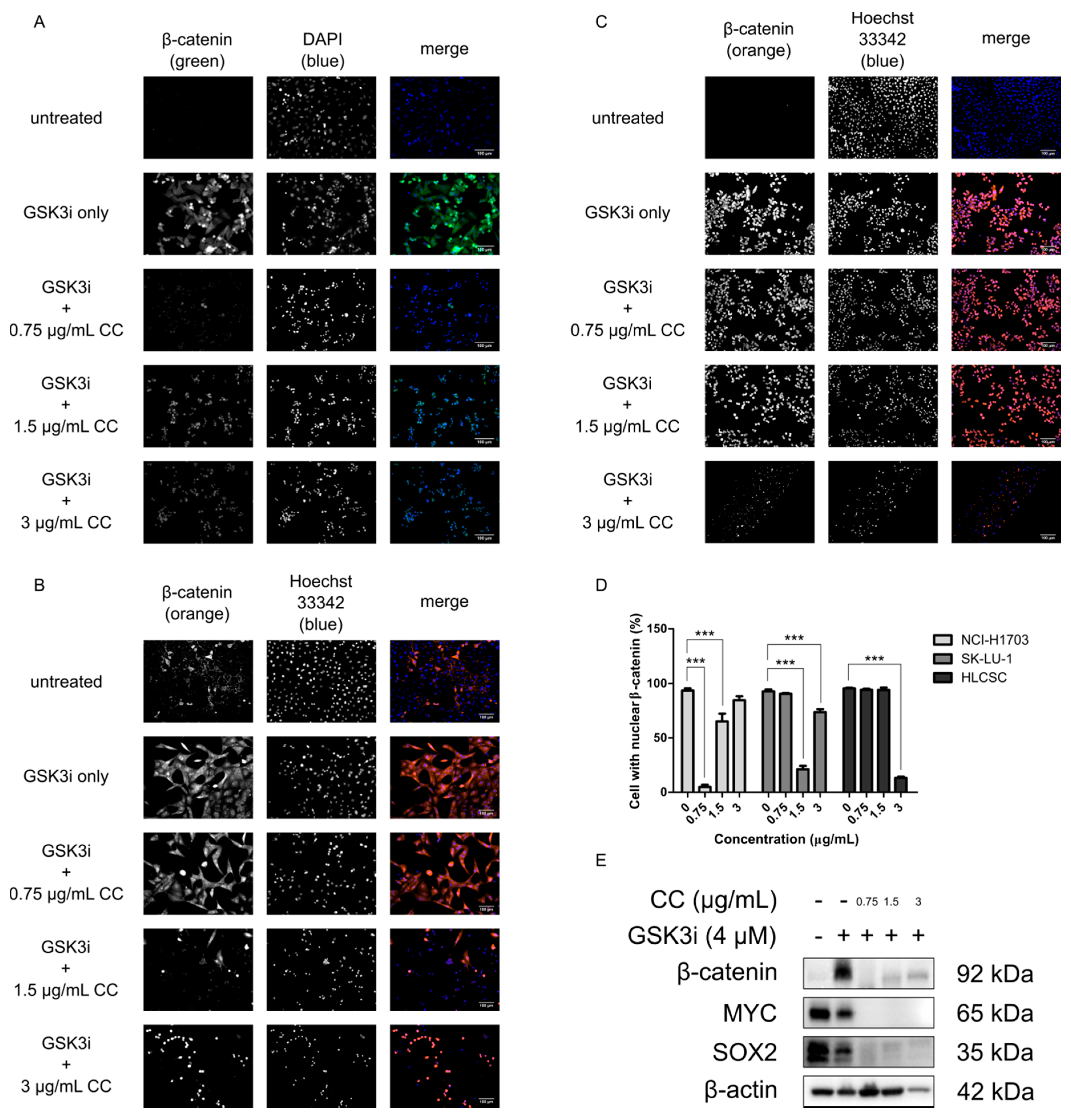 Molecules 25 00224 g002 Molecules 25 00224 g002