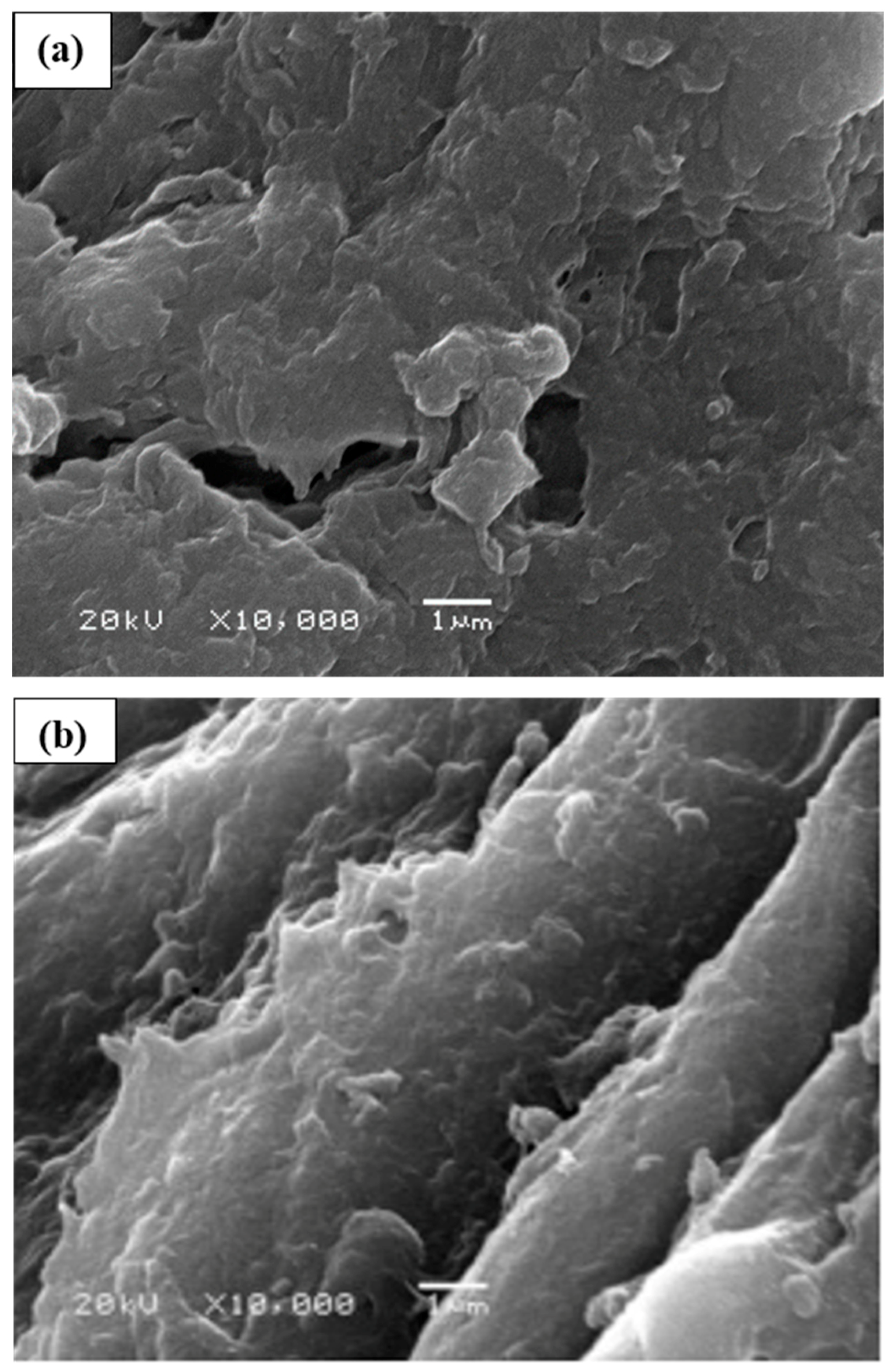 Molecules 25 00226 g005 Molecules 25 00226 g005