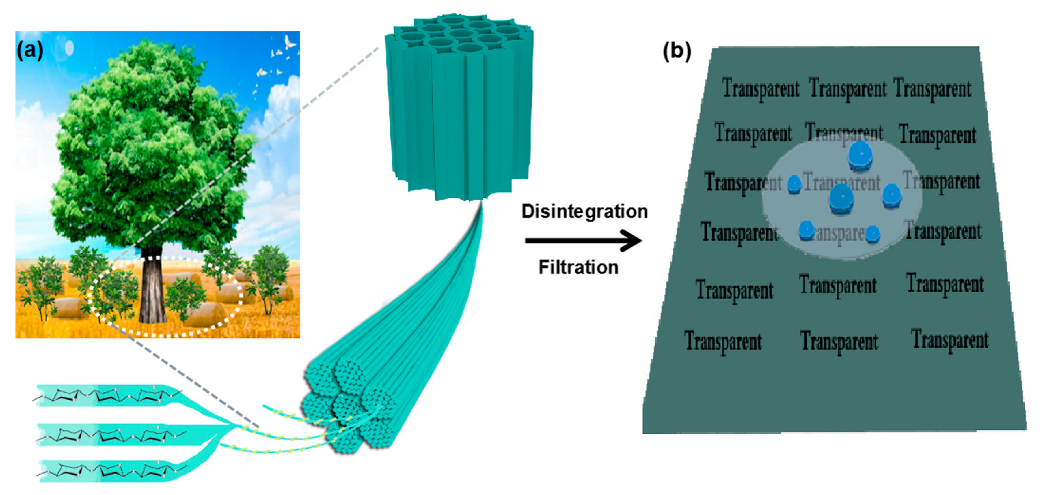 Molecules 25 00227 g001 Molecules 25 00227 g001