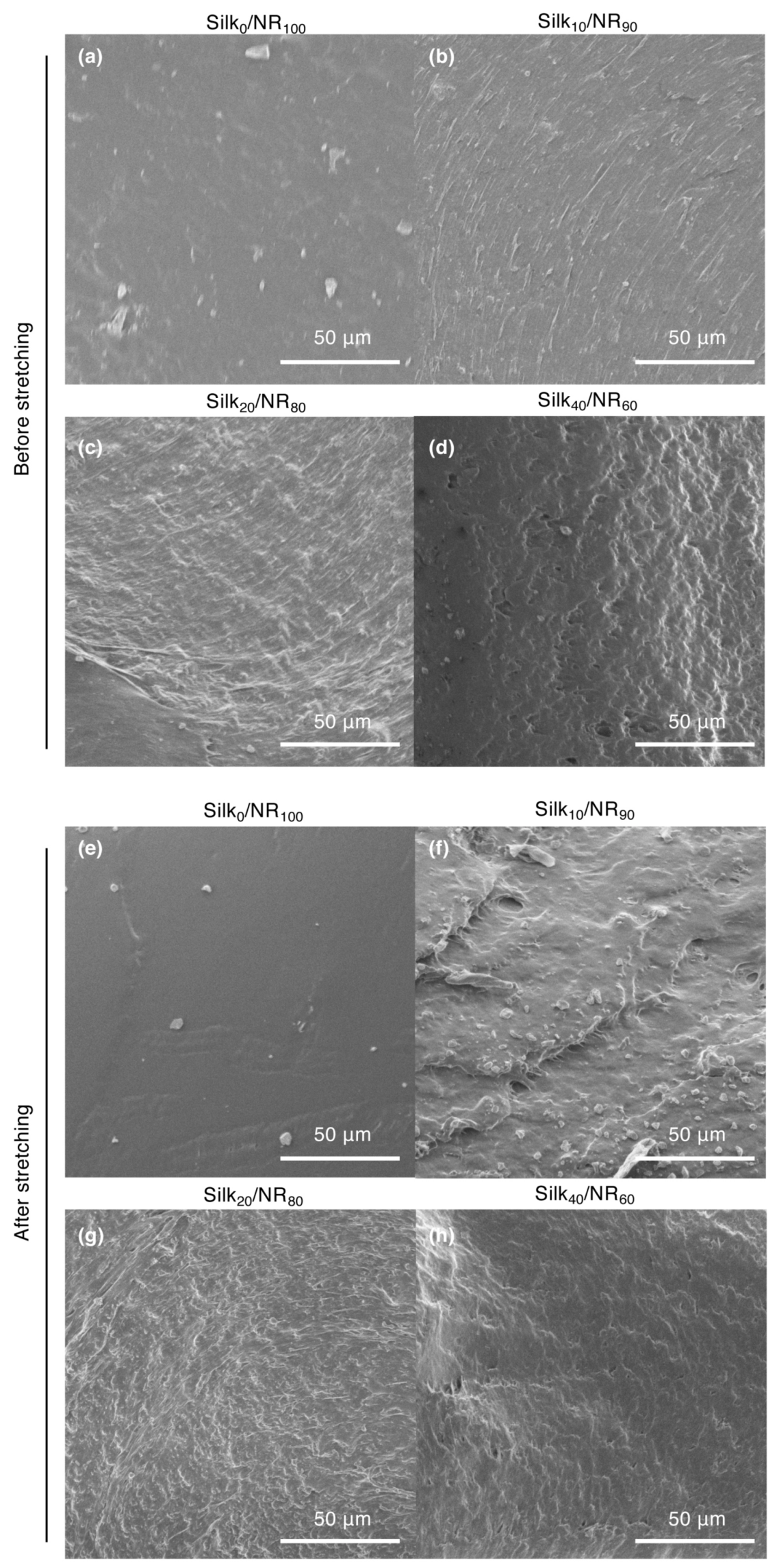 Molecules 25 00235 g005 Molecules 25 00235 g005