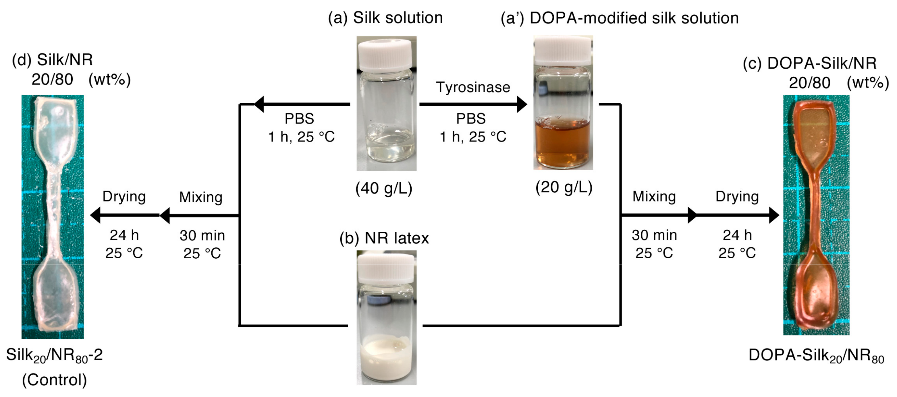 Molecules 25 00235 g008 Molecules 25 00235 g008