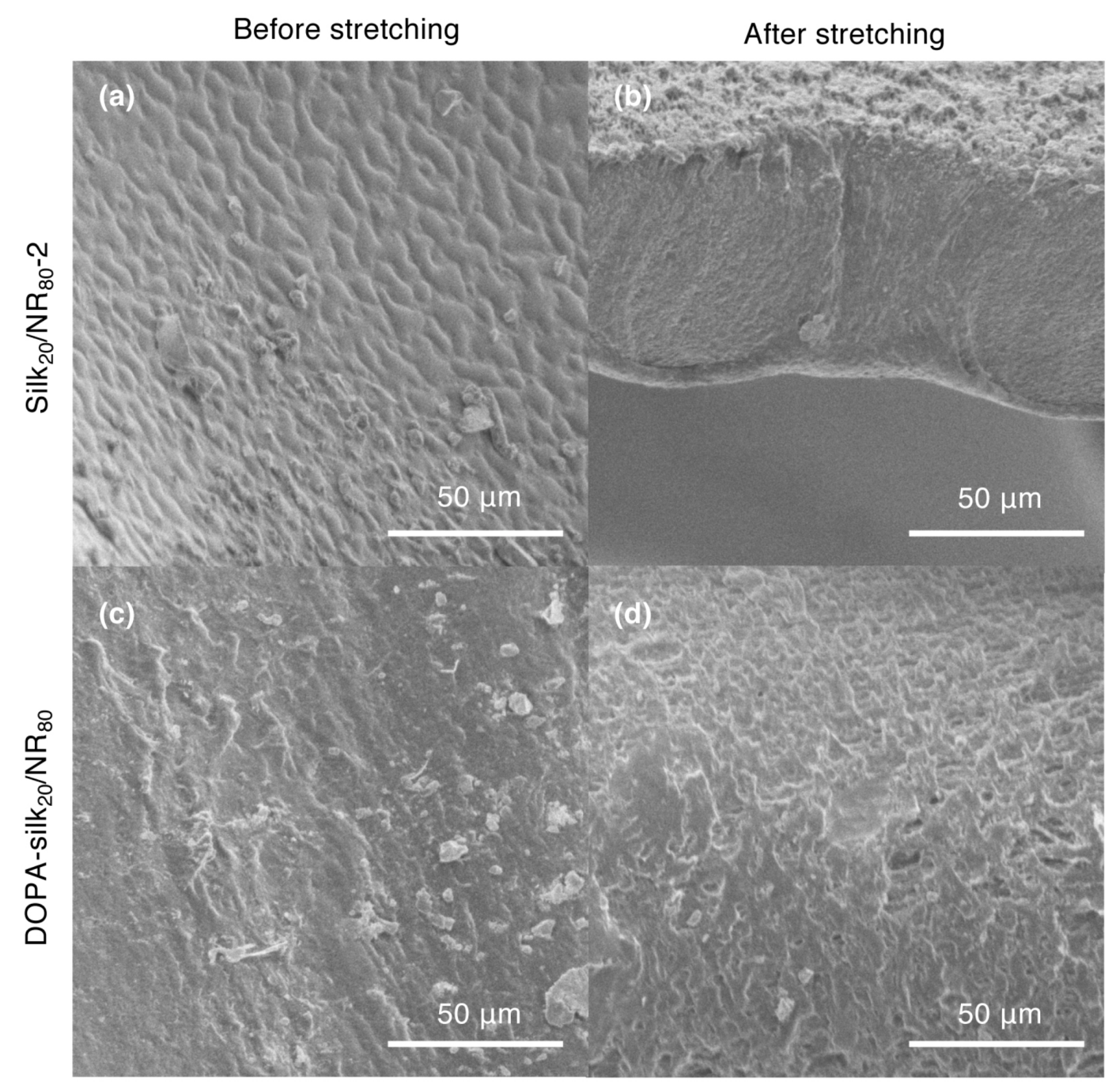 Molecules 25 00235 g012 Molecules 25 00235 g012