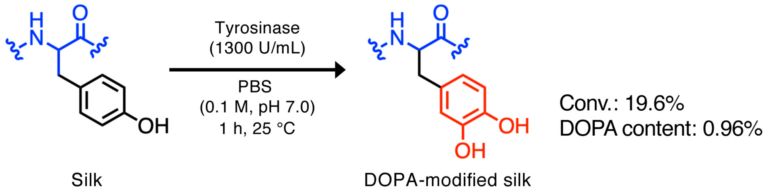Molecules 25 00235 sch001 Molecules 25 00235 sch001