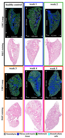 Molecules January 1 2020 Browse Articles