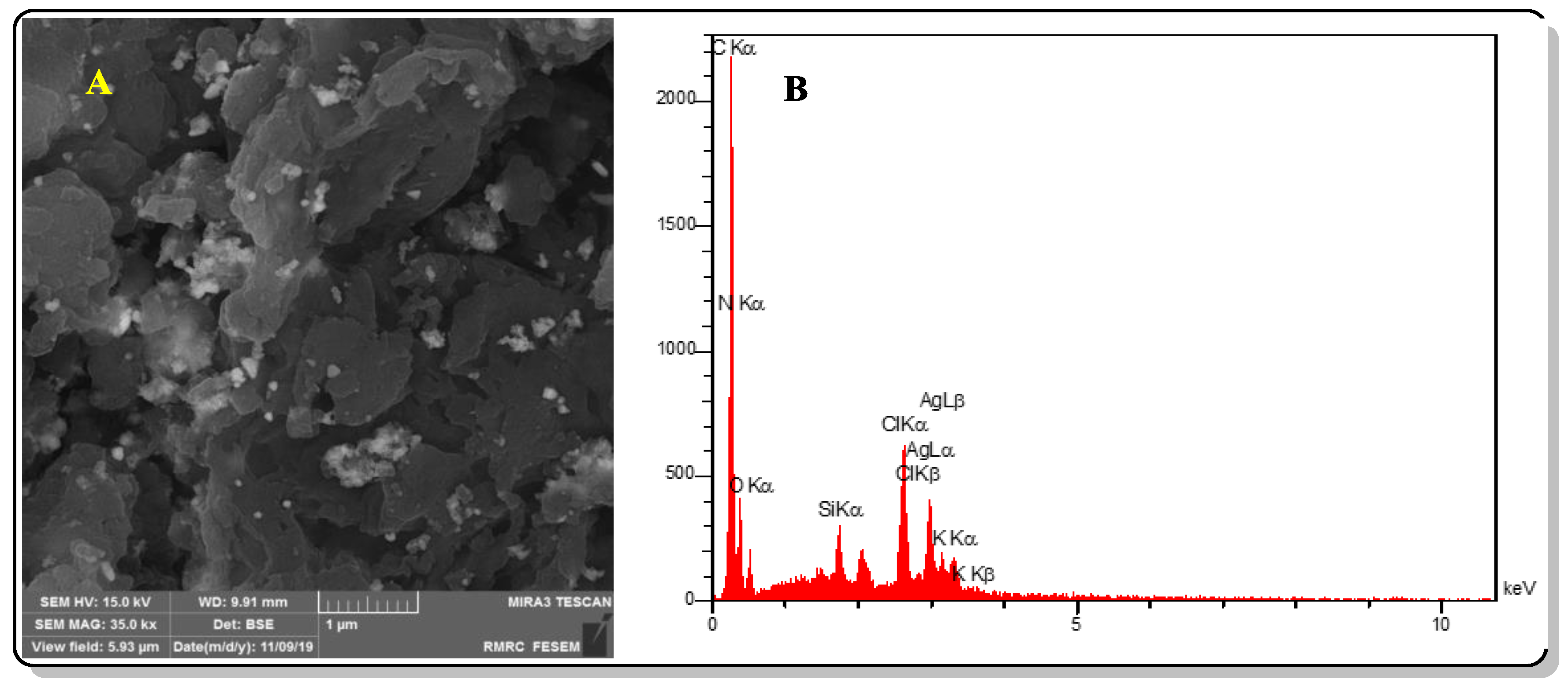 Molecules 25 00241 g001 Molecules 25 00241 g001