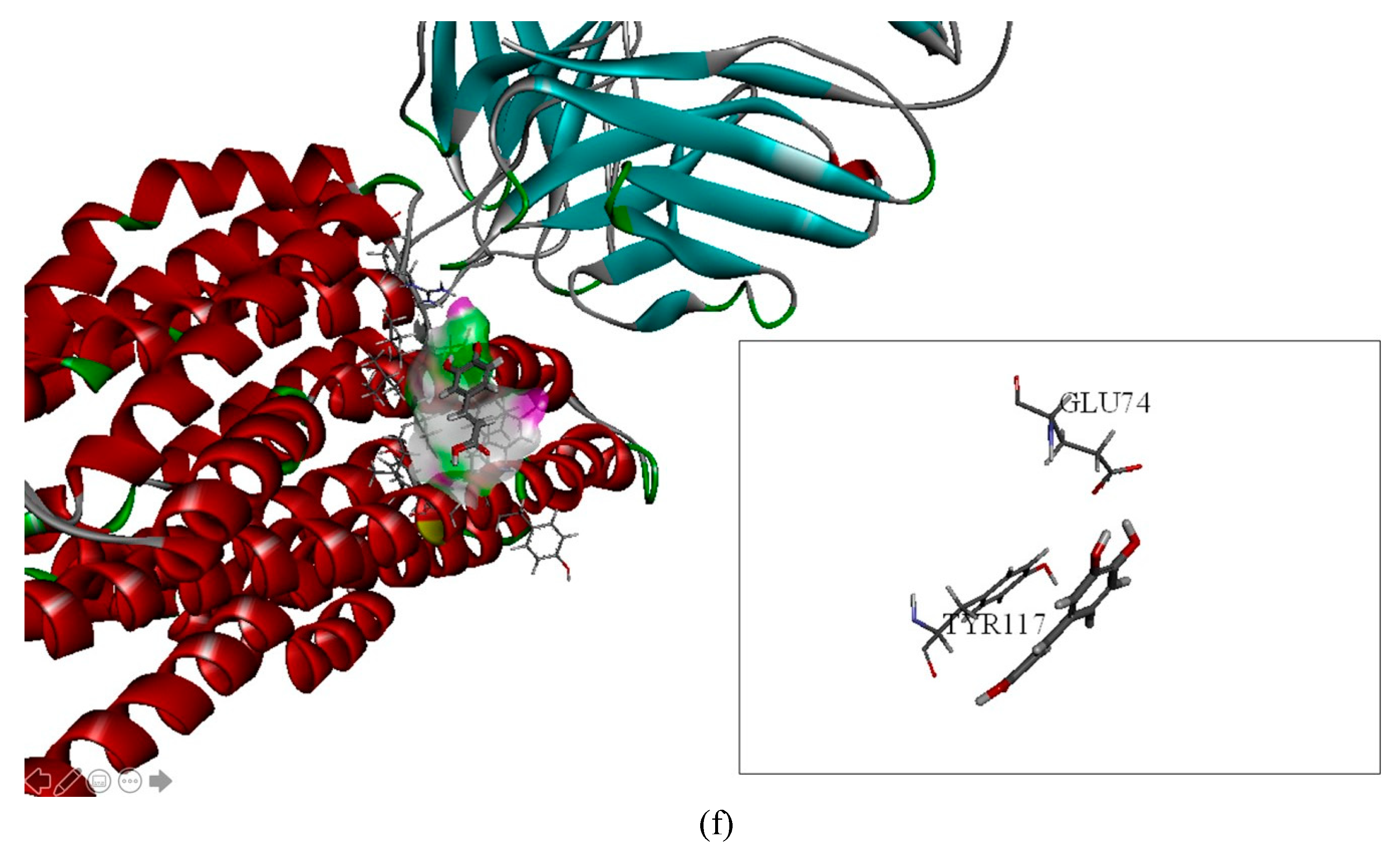 Molecules 25 00247 g003b