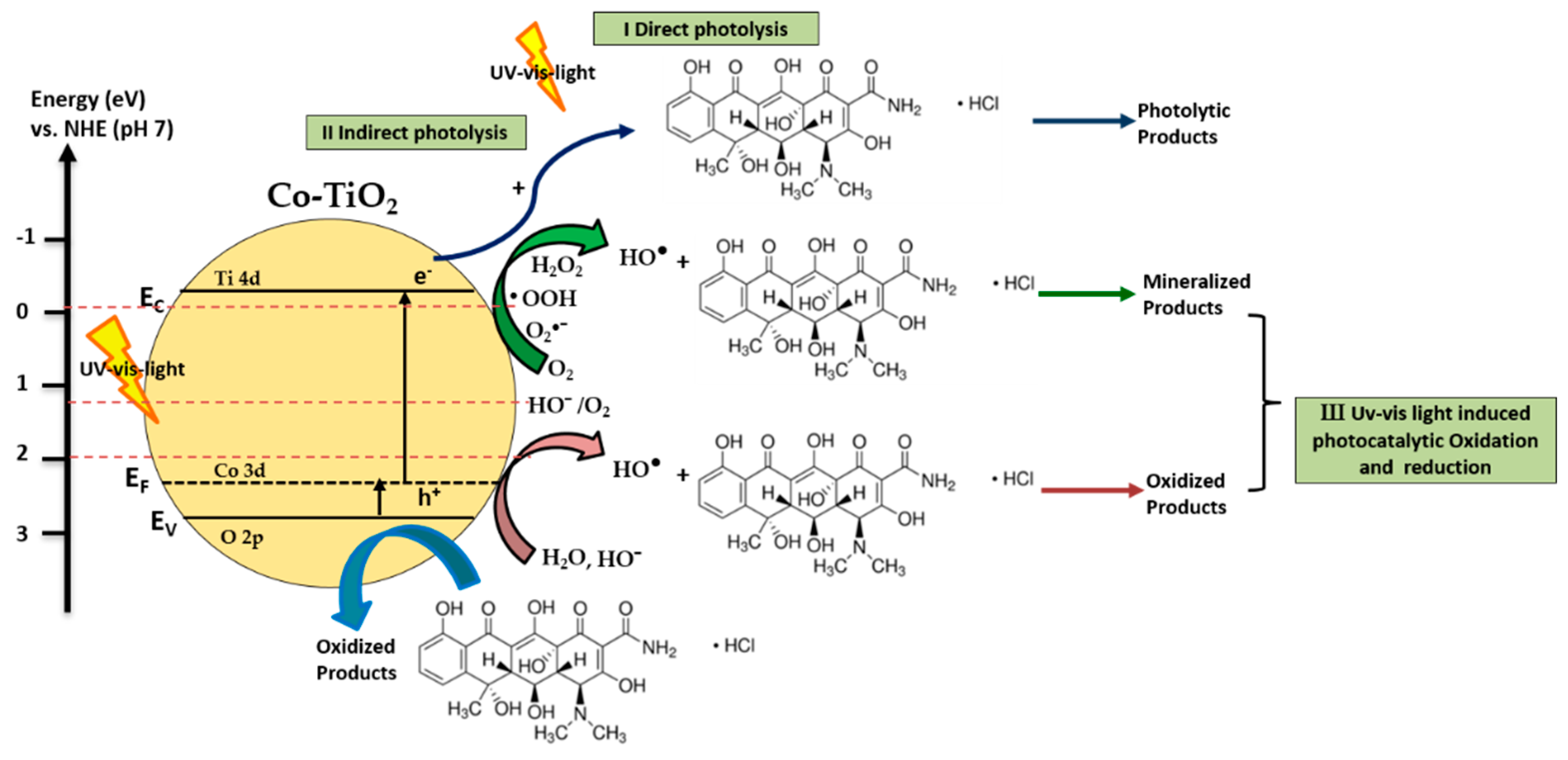 Molecules 25 00249 g005 Molecules 25 00249 g005