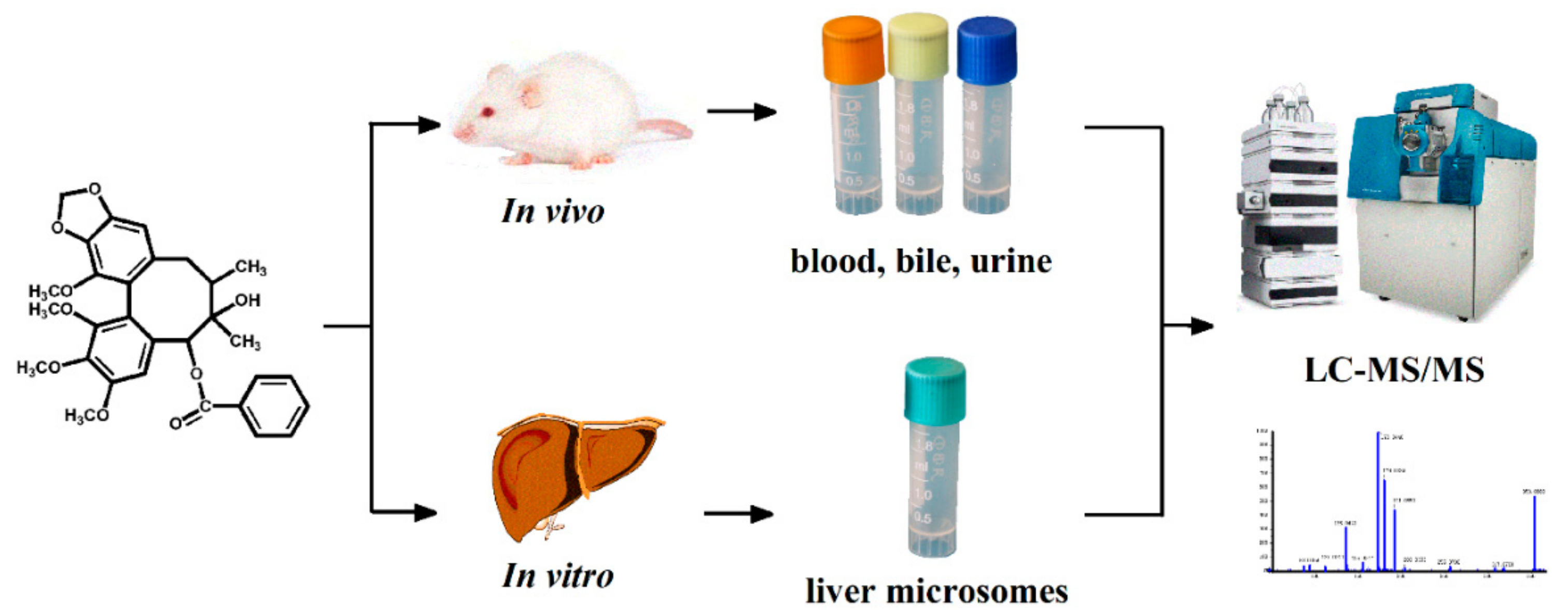 Molecules 25 00258 g002