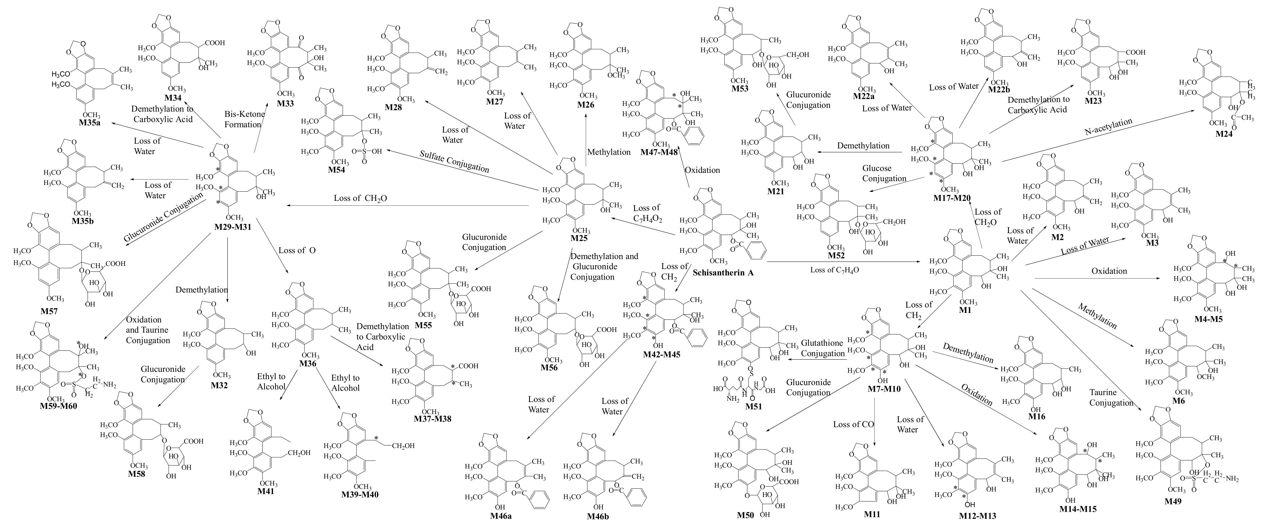 Molecules 25 00258 g004