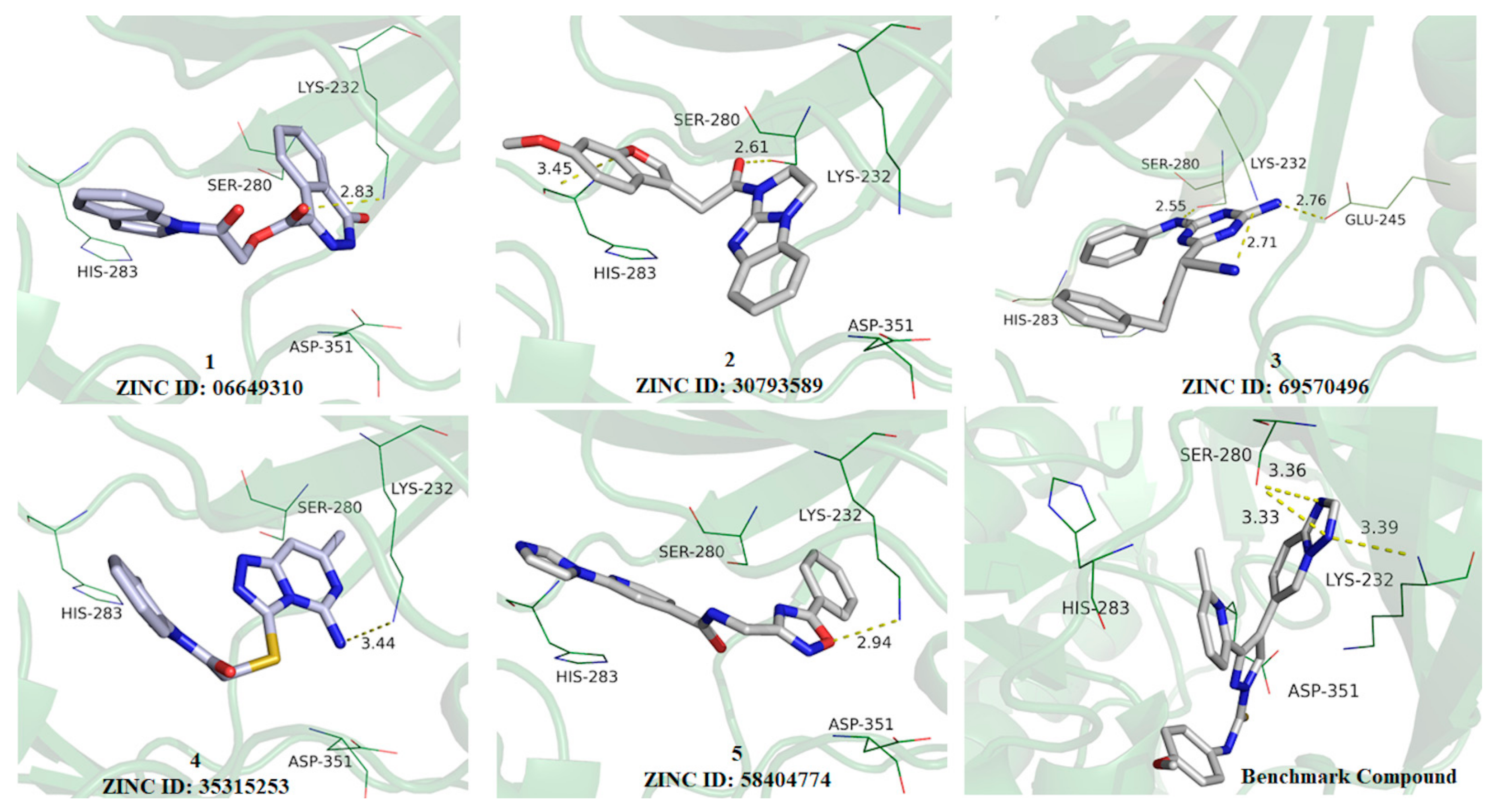 Molecules 25 00264 g004