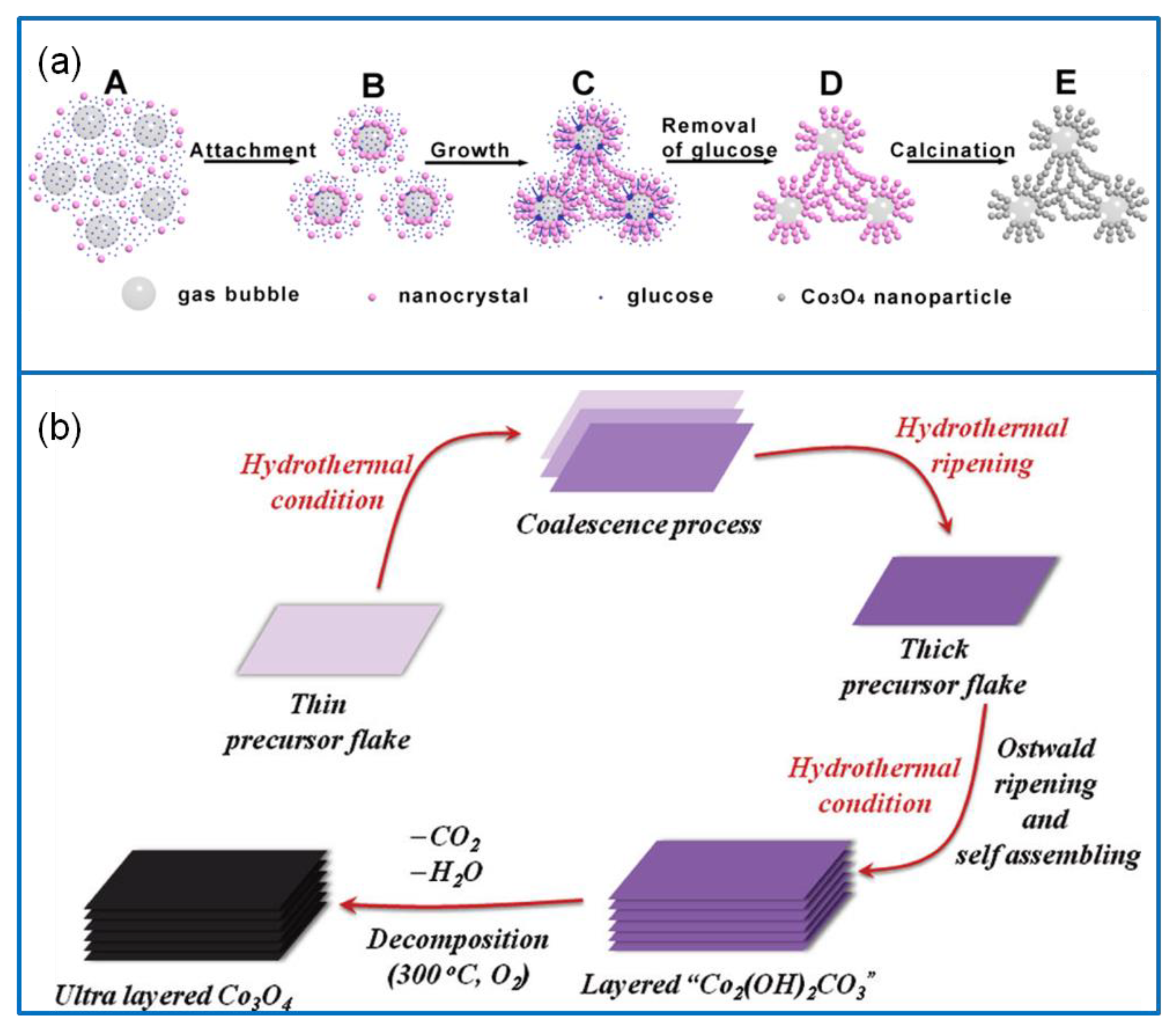 Molecules 25 00269 g003 Molecules 25 00269 g003