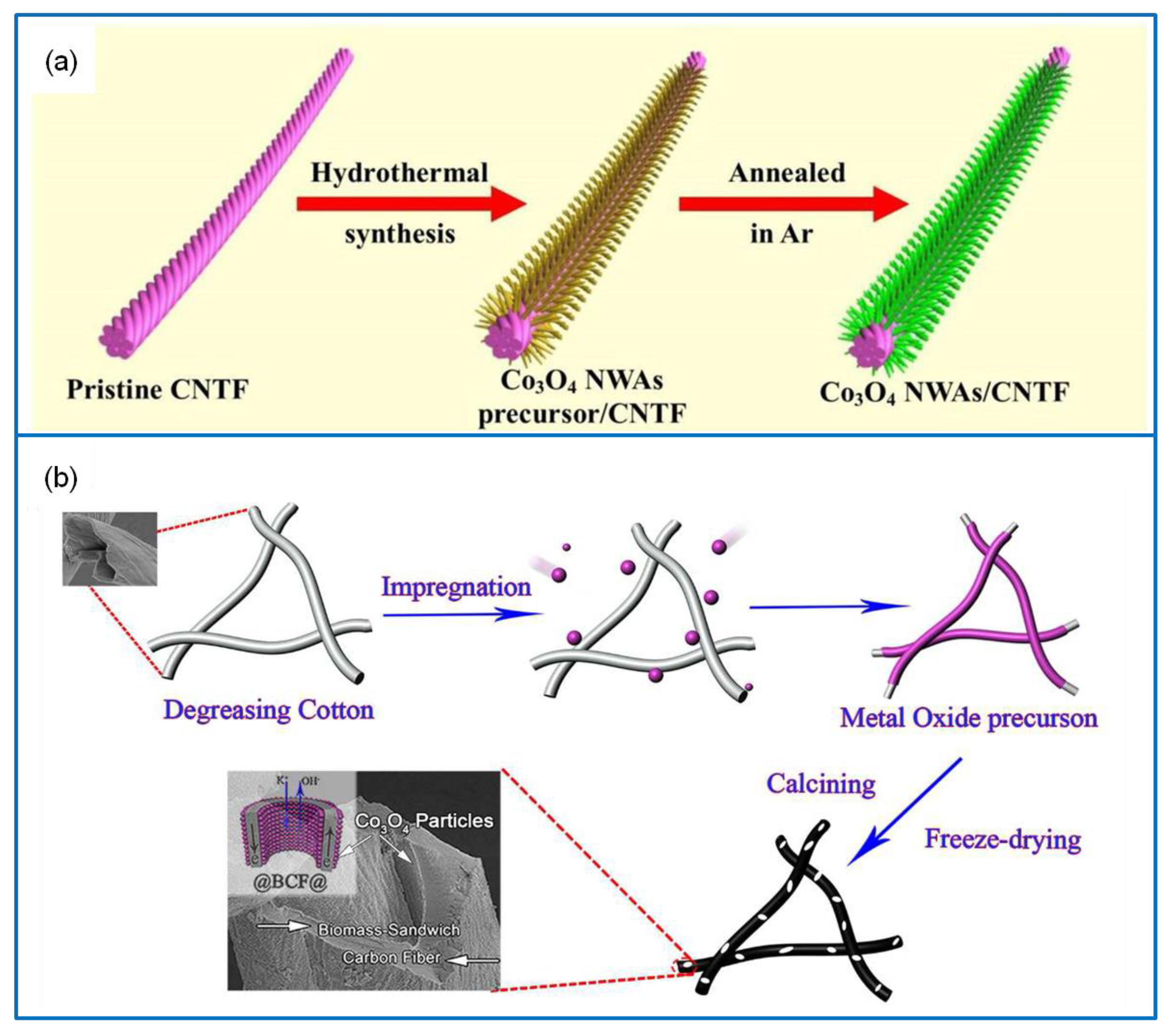 Molecules 25 00269 g005 Molecules 25 00269 g005