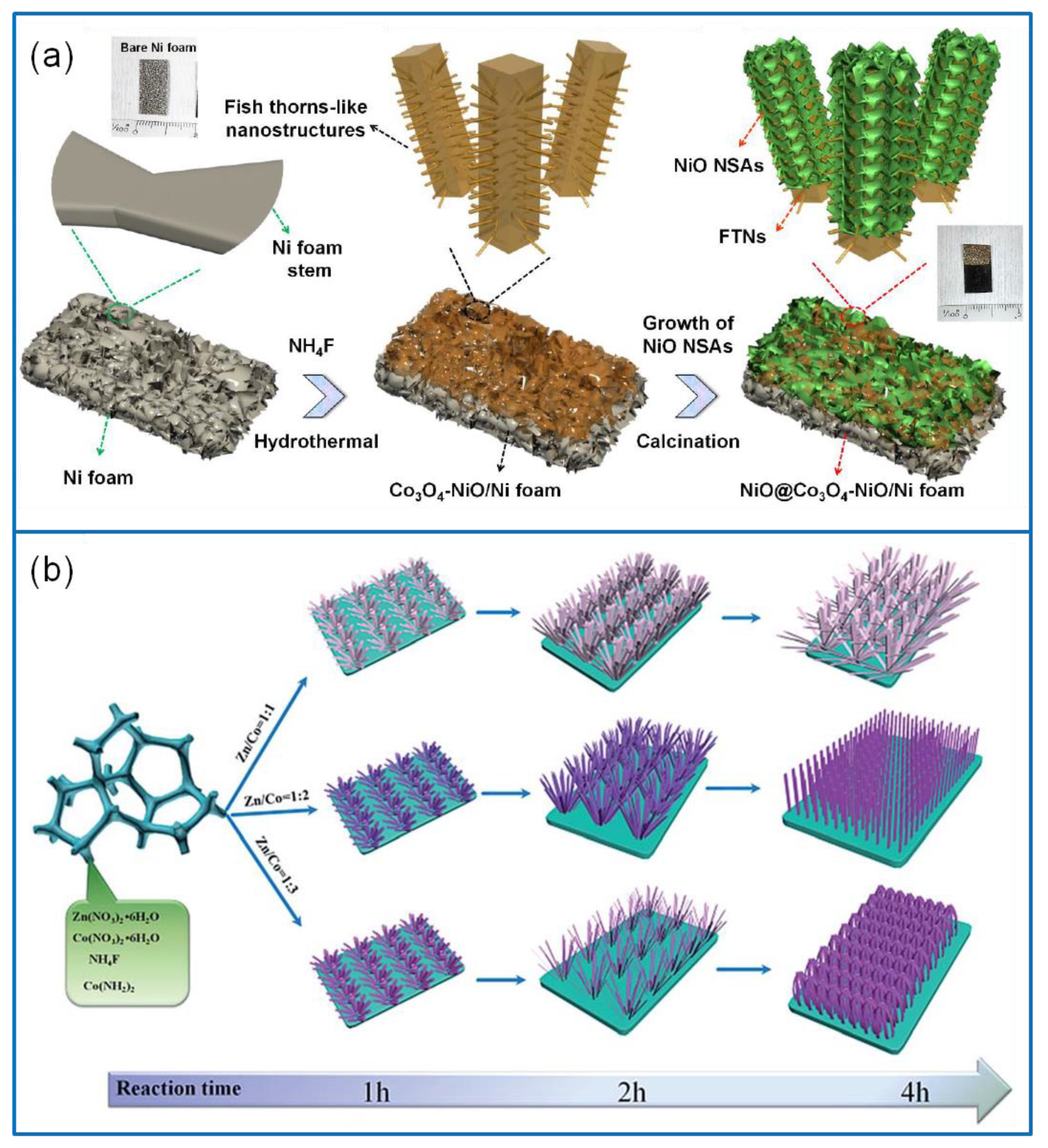 Molecules 25 00269 g010 Molecules 25 00269 g010