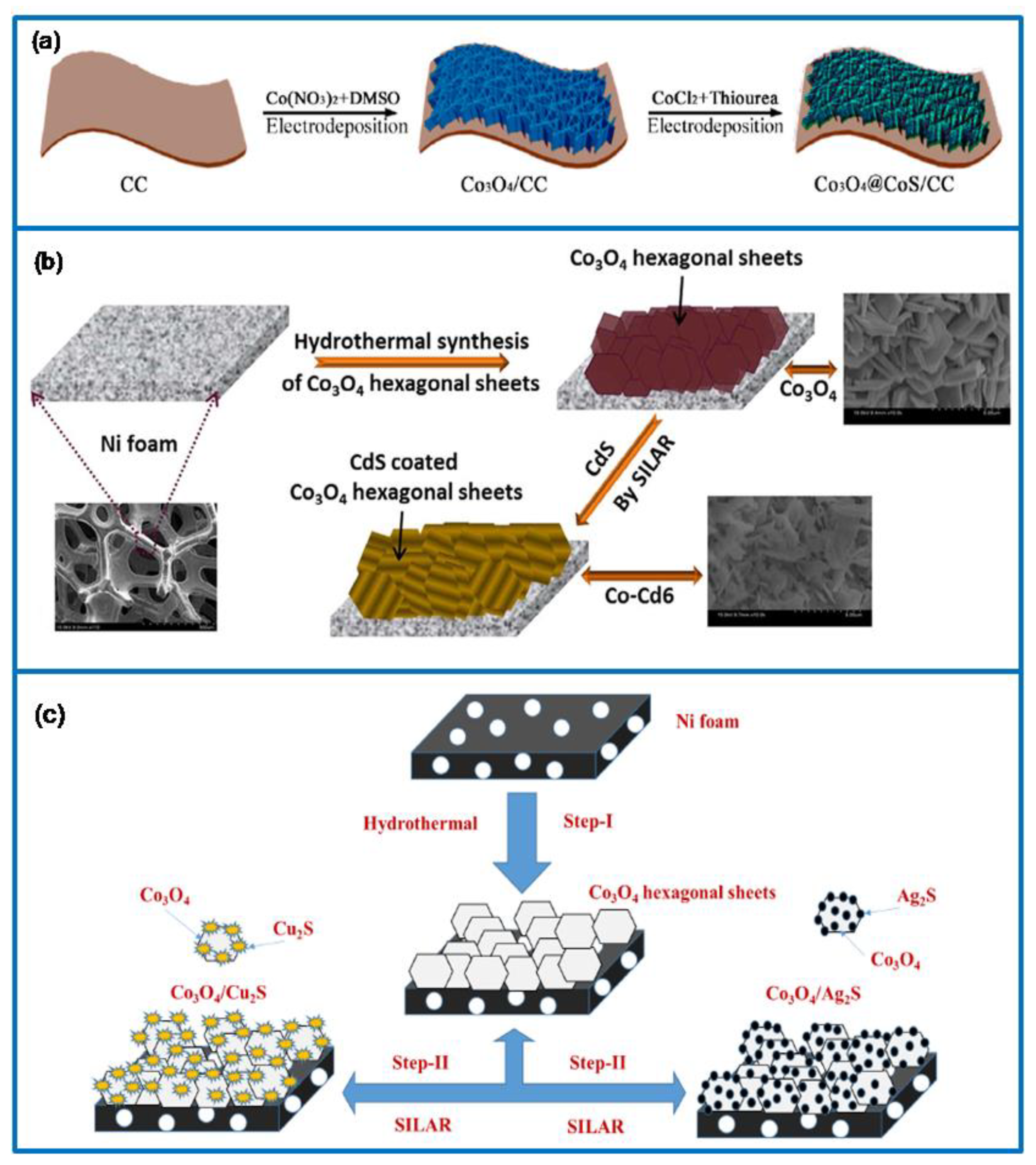 Molecules 25 00269 g013 Molecules 25 00269 g013