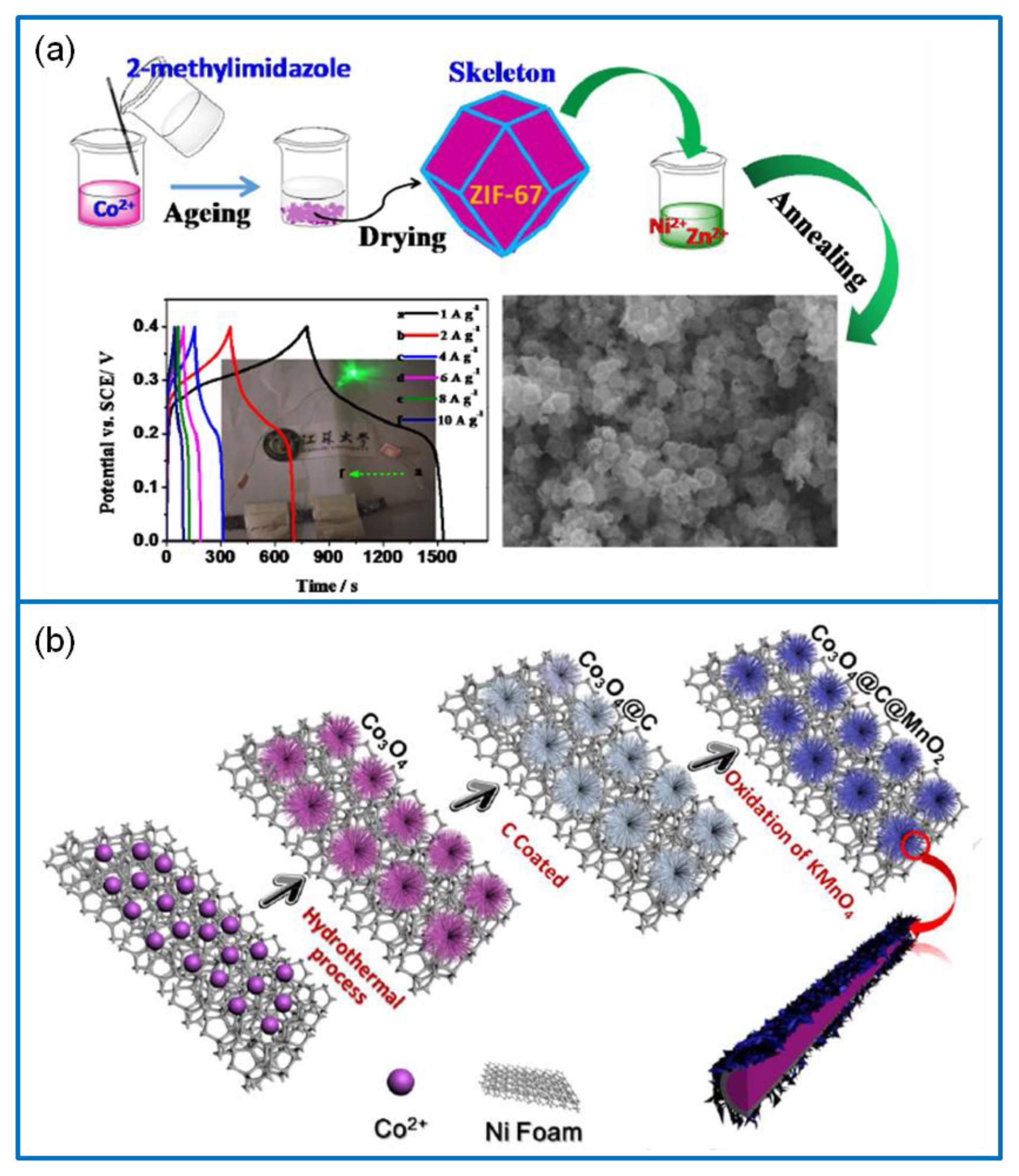 Molecules 25 00269 g014 Molecules 25 00269 g014