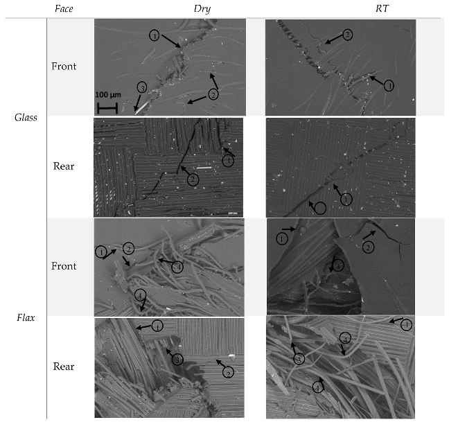 Molecules 25 00278 g007a Molecules 25 00278 g007a
