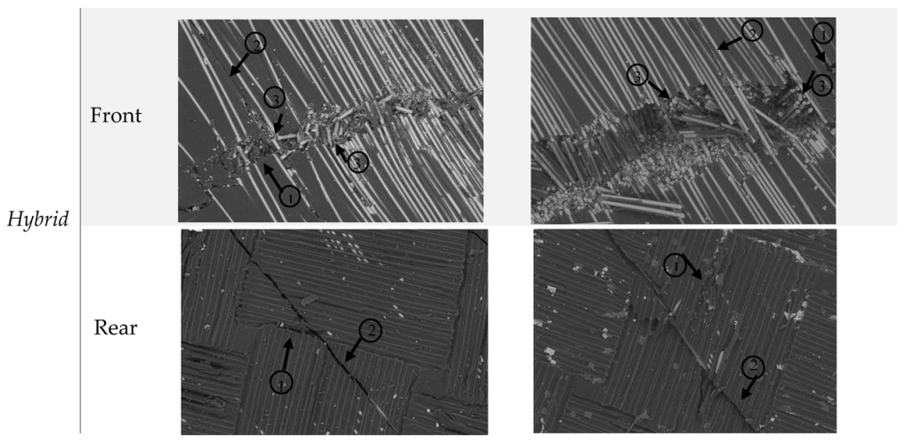 Molecules 25 00278 g007b Molecules 25 00278 g007b