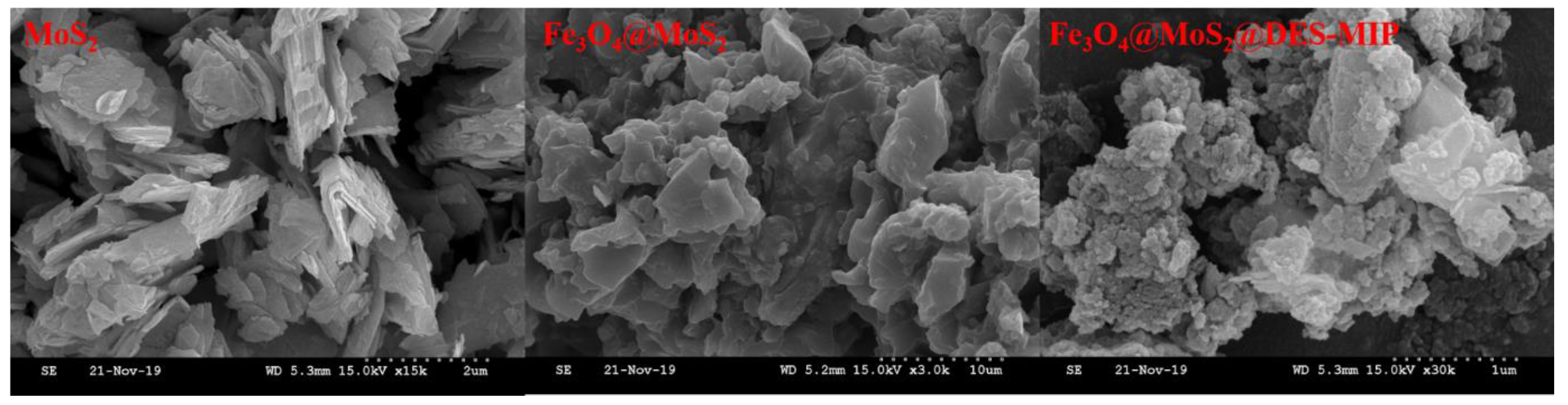 Molecules 25 00280 g002 Molecules 25 00280 g002