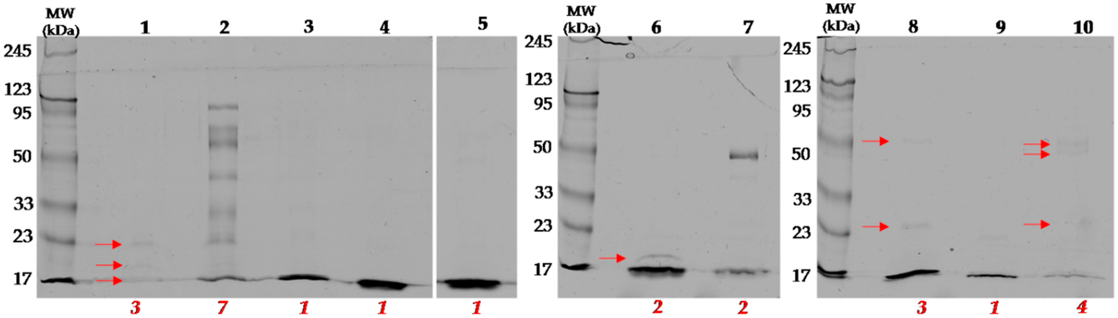 Molecules 25 00293 g003