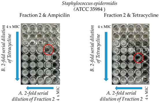 Antimicrobial Activity of Protein Fraction from Naja ashei