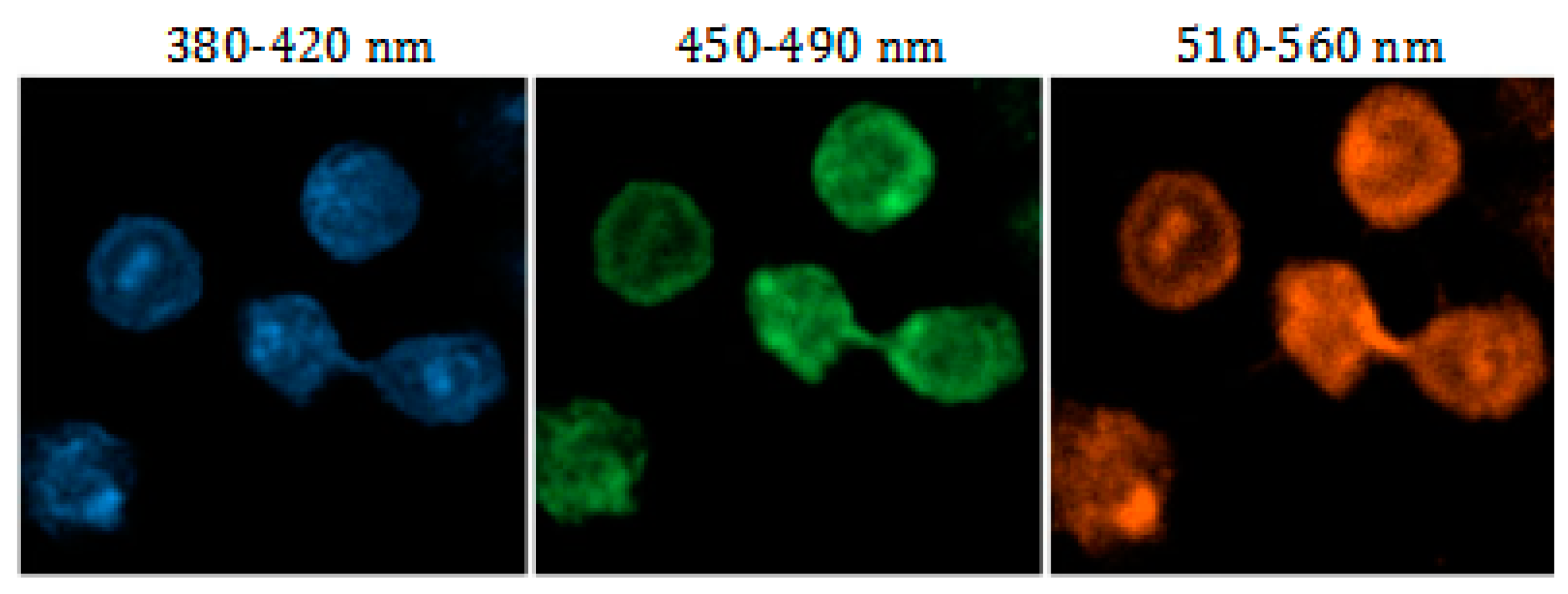 Molecules 25 00306 g006 Molecules 25 00306 g006