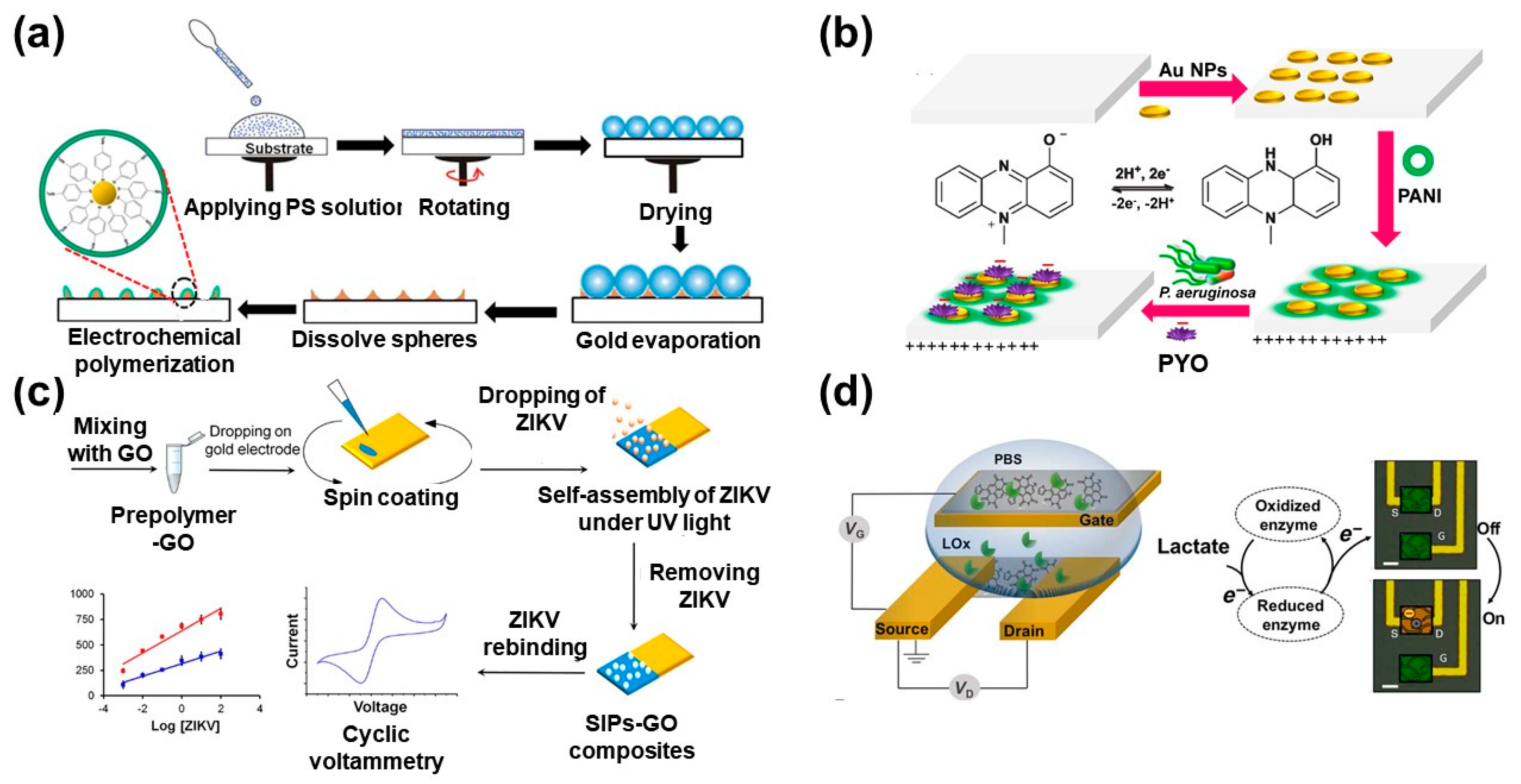 Molecules 25 00307 g003 Molecules 25 00307 g003