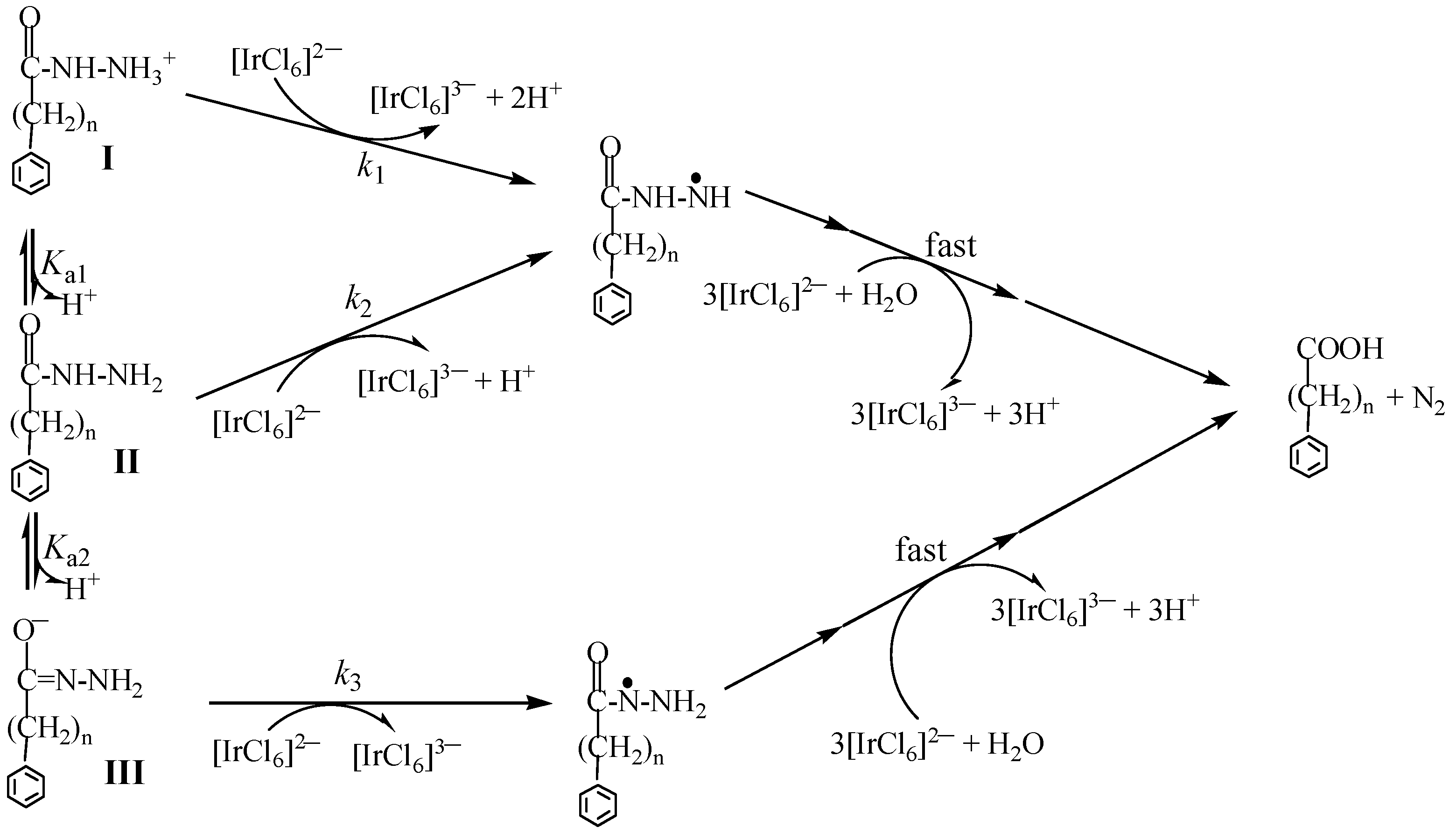 Molecules 25 00308 g007 Molecules 25 00308 g007