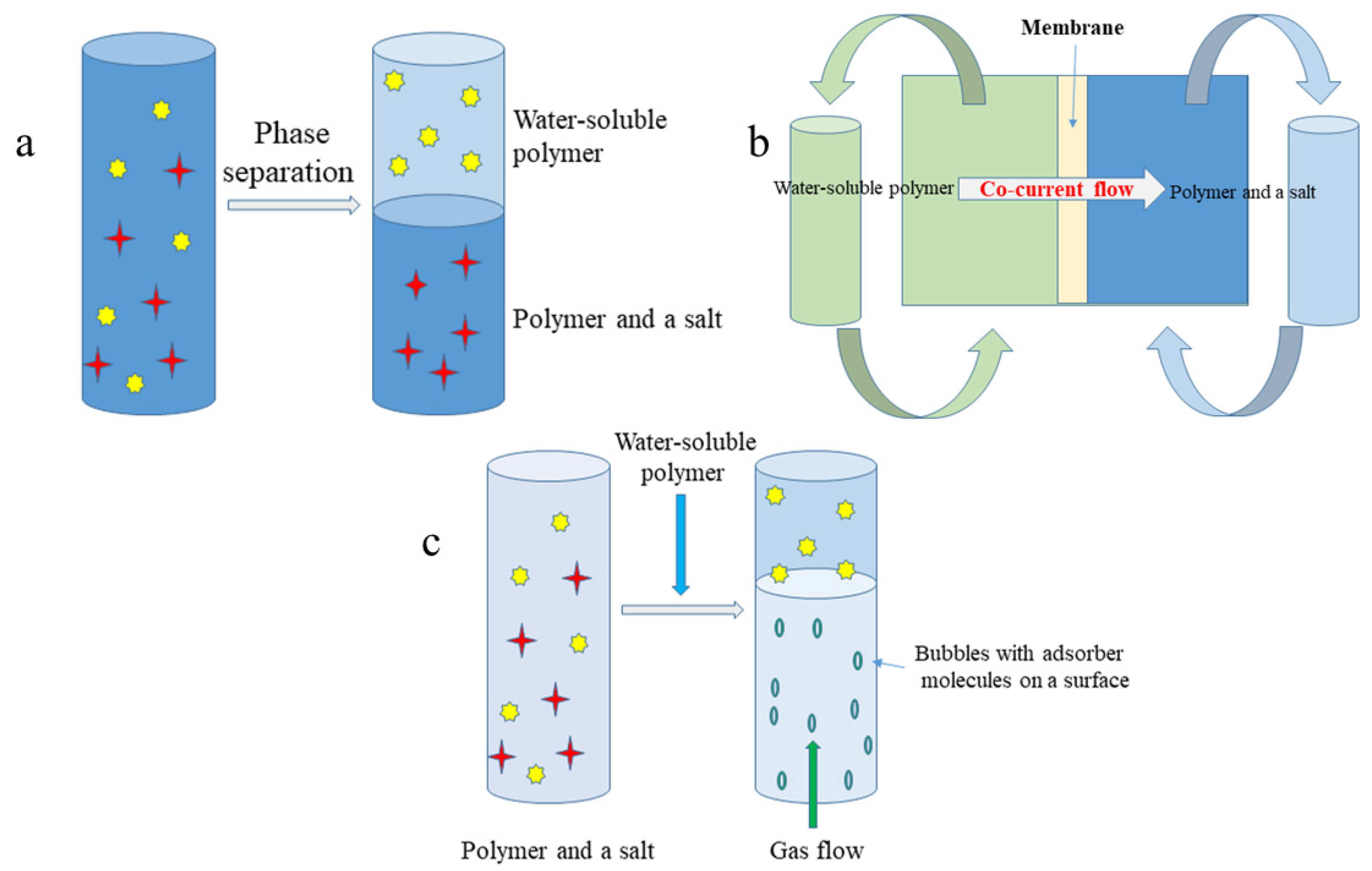 B membrane. Procedure of Chromatography. Membrane Separation of Water. Microorganisms scheme. Industrial Water membrane.