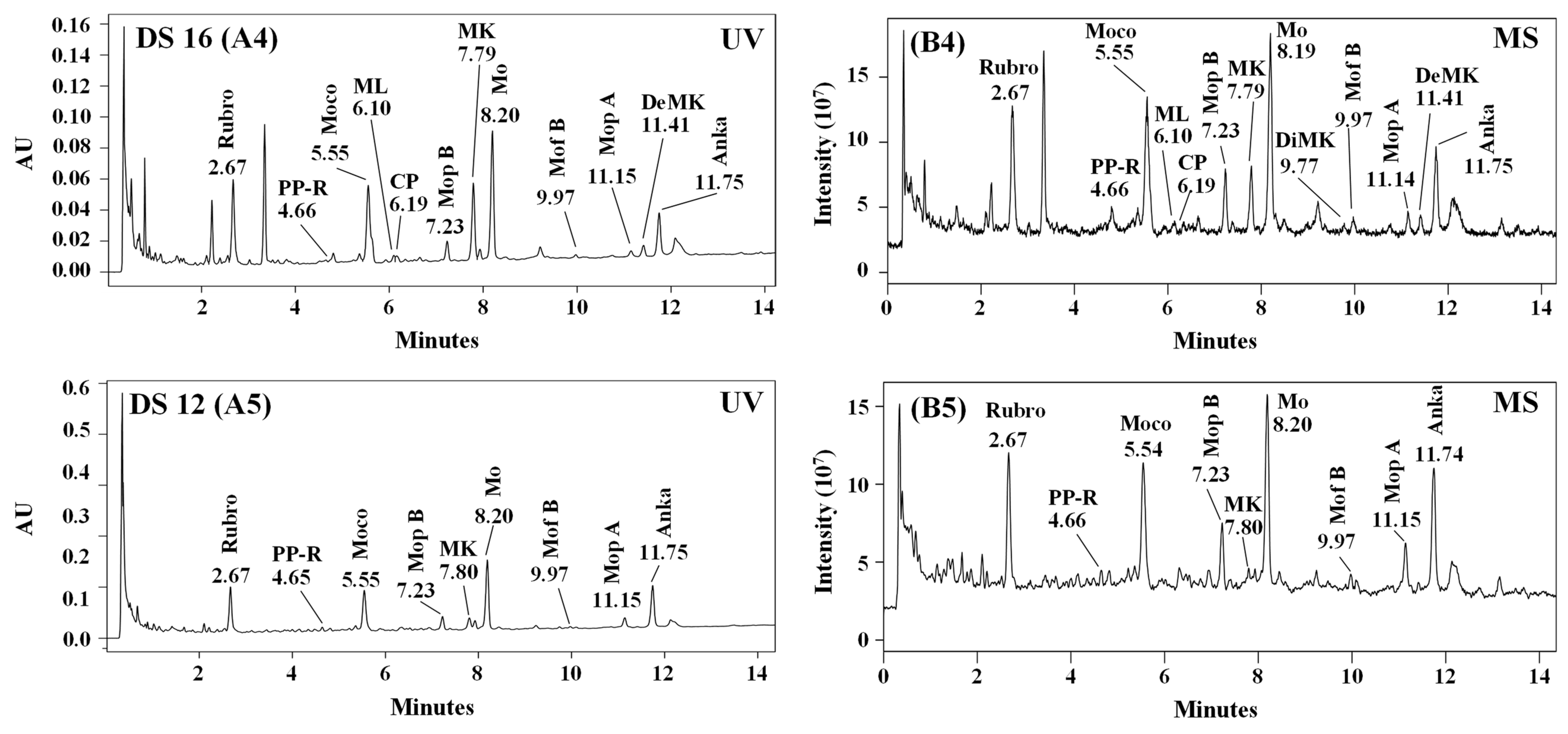 Molecules 25 00317 g005b