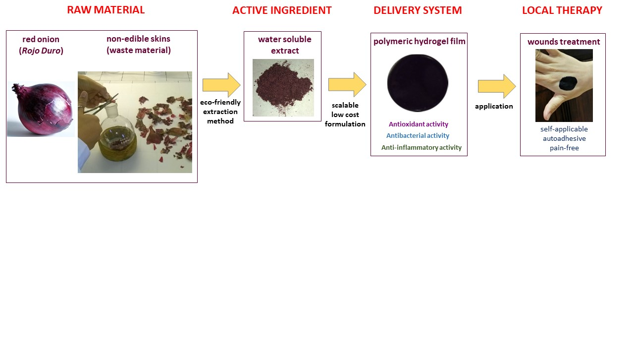Molecules Free Full Text Bioadhesive Polymeric Films Based On Red Onion Skins Extract For Wound Treatment An Innovative And Eco Friendly Formulation Html