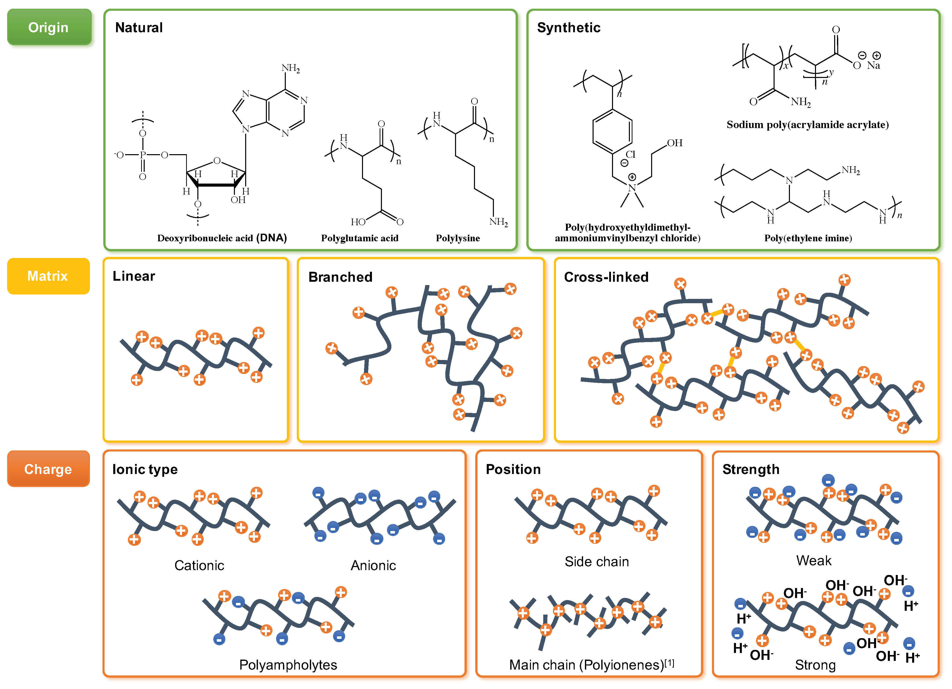 Molecules 25 00323 g003 Molecules 25 00323 g003