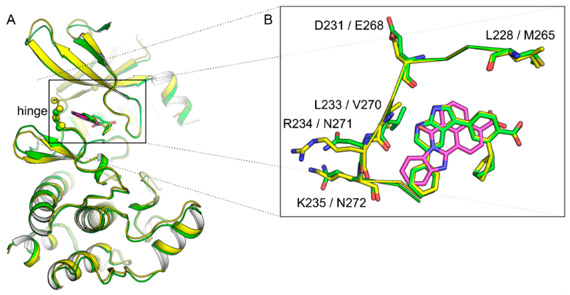 Molecules 25 00325 g002