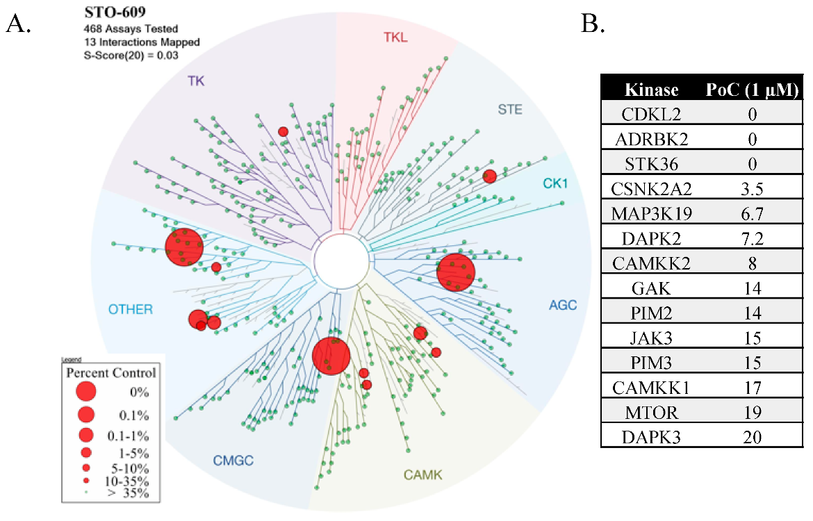 Molecules 25 00325 g003