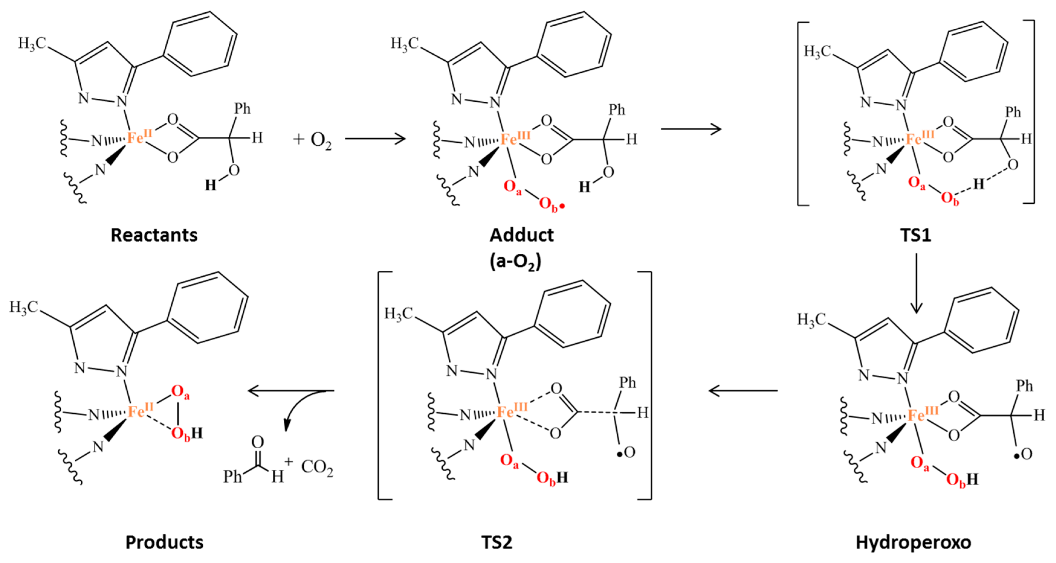 Molecules 25 00328 sch002