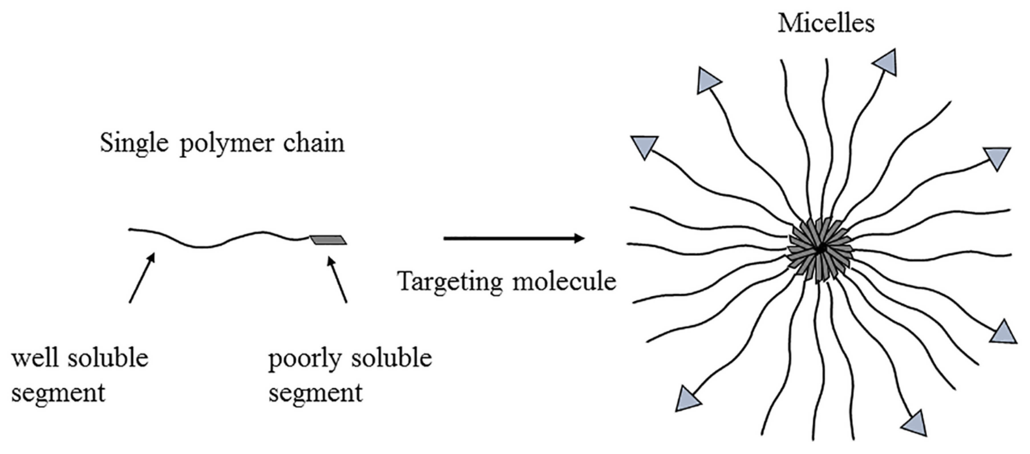 Molecules | Free Full-Text | Solubility and Bioavailability 