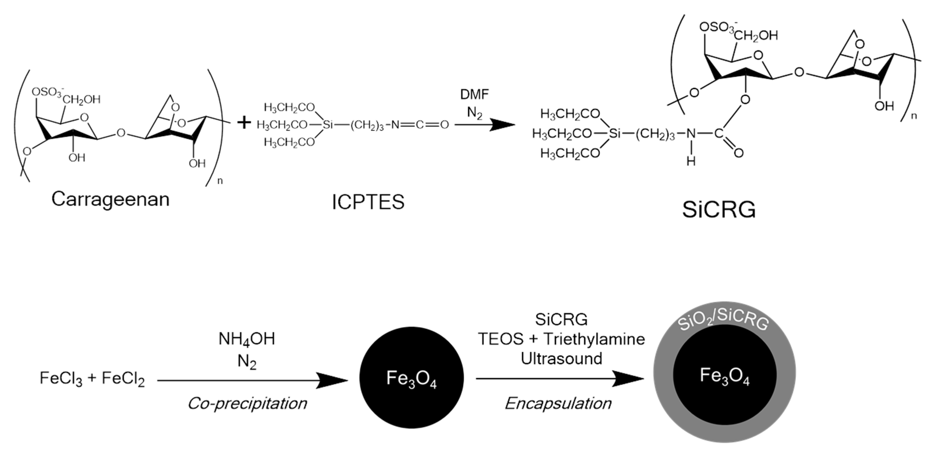 Molecules 25 00333 sch002 Molecules 25 00333 sch002