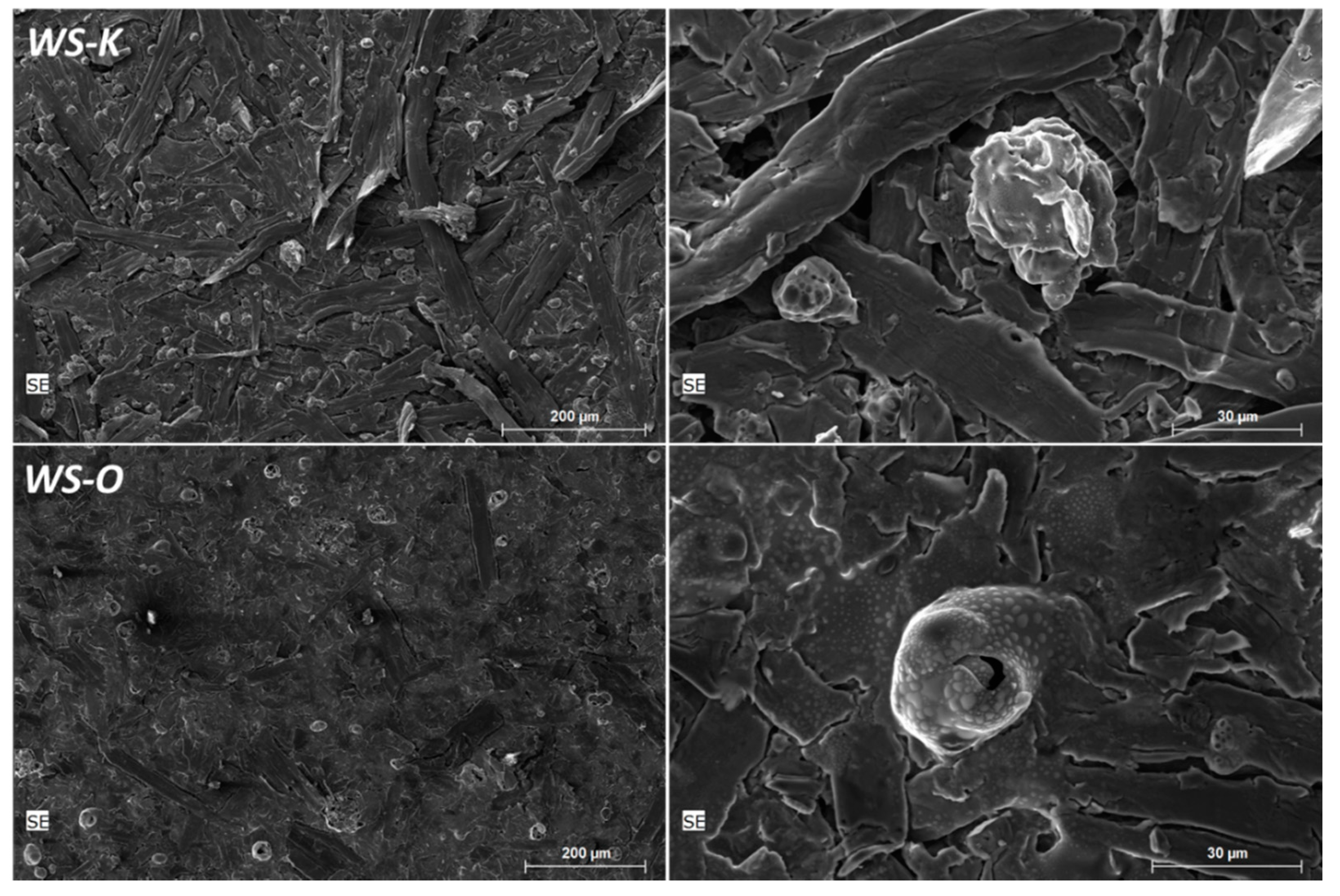 Molecules 25 00335 g005 Molecules 25 00335 g005
