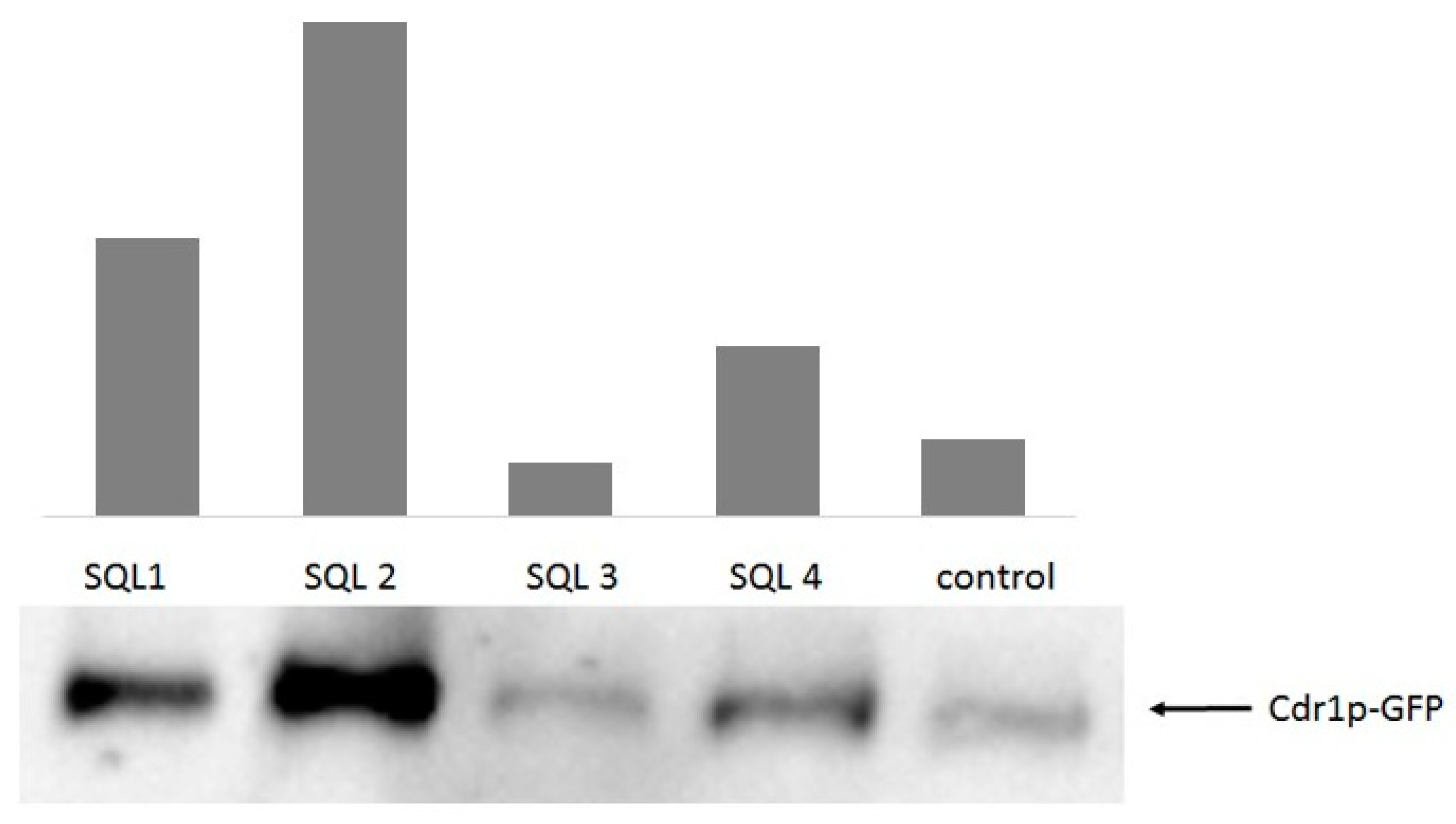 Molecules 25 00345 g006 Molecules 25 00345 g006