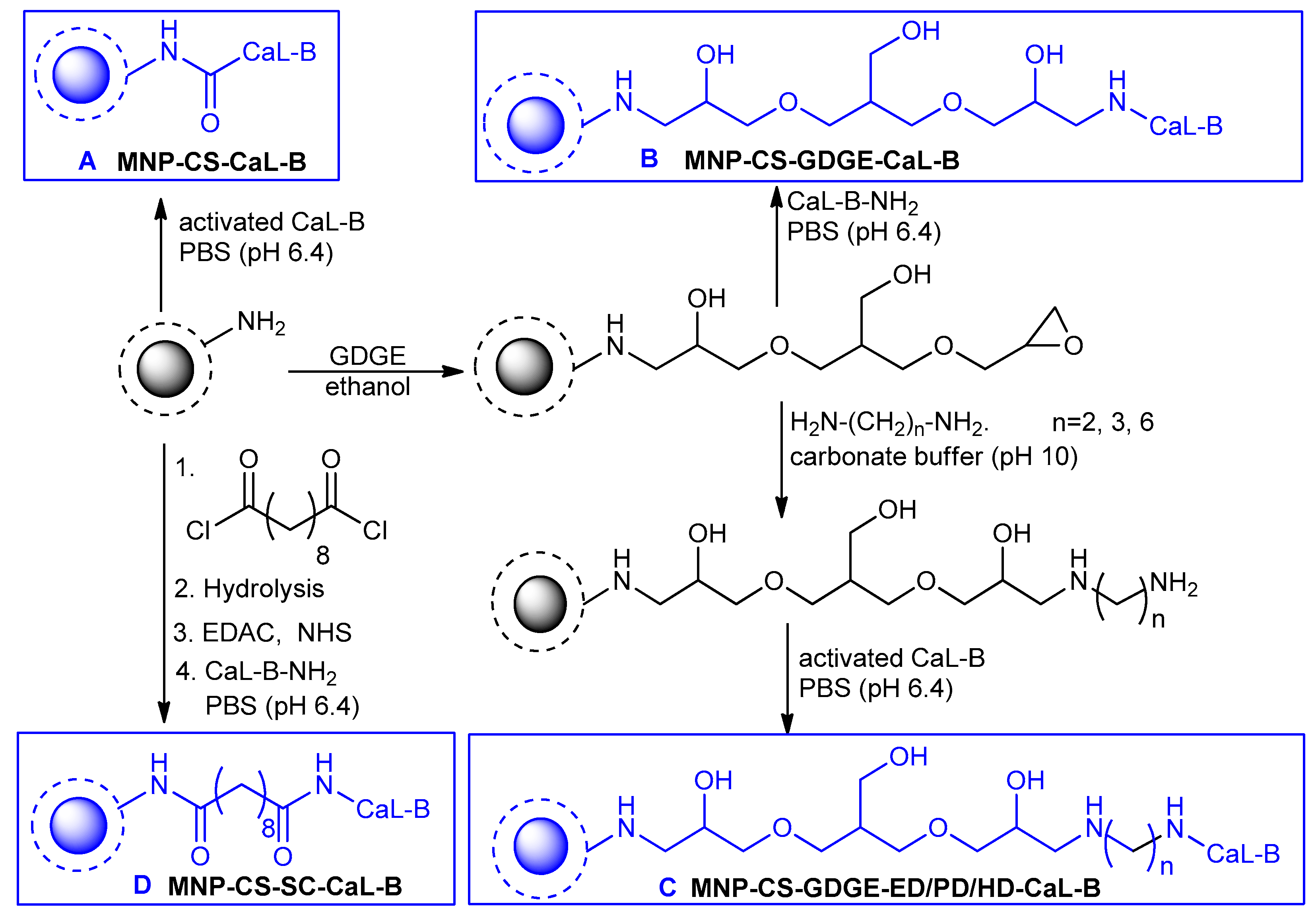 Molecules 25 00350 sch002 Molecules 25 00350 sch002