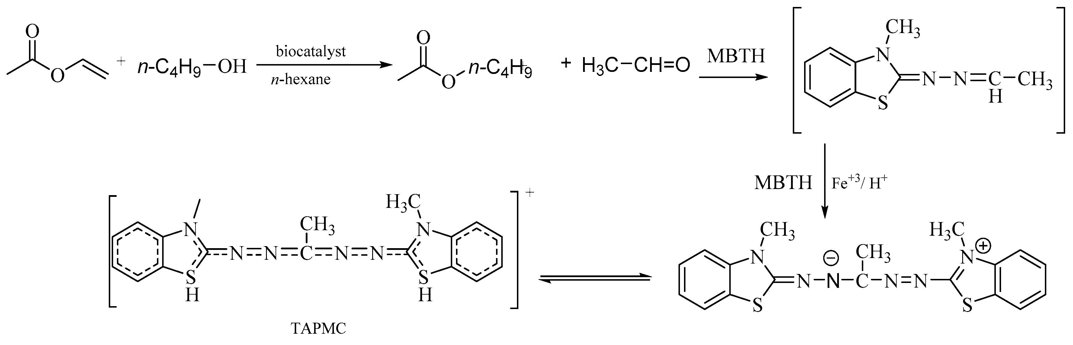 Molecules 25 00350 sch003 Molecules 25 00350 sch003