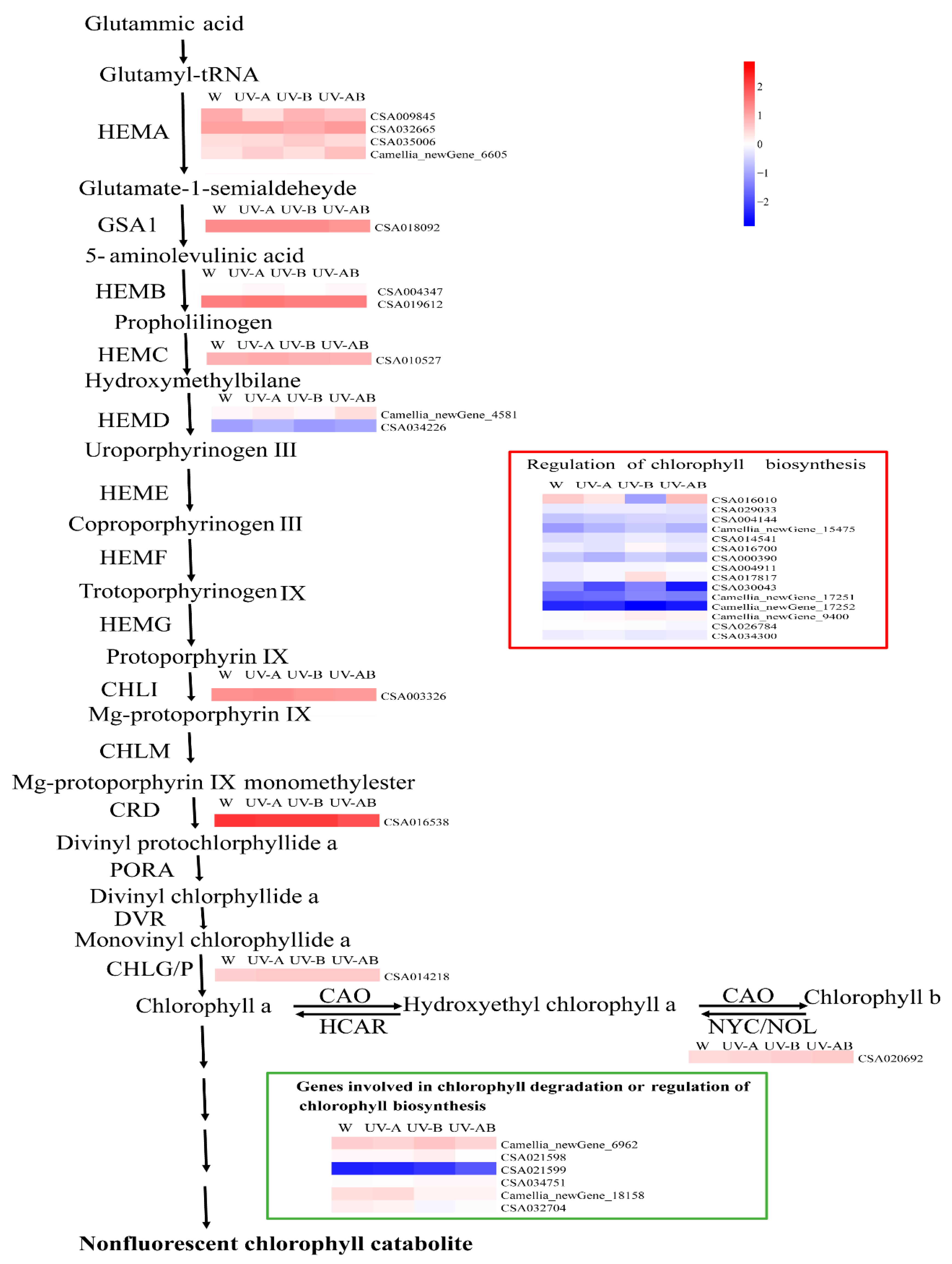Molecules 25 00354 g009