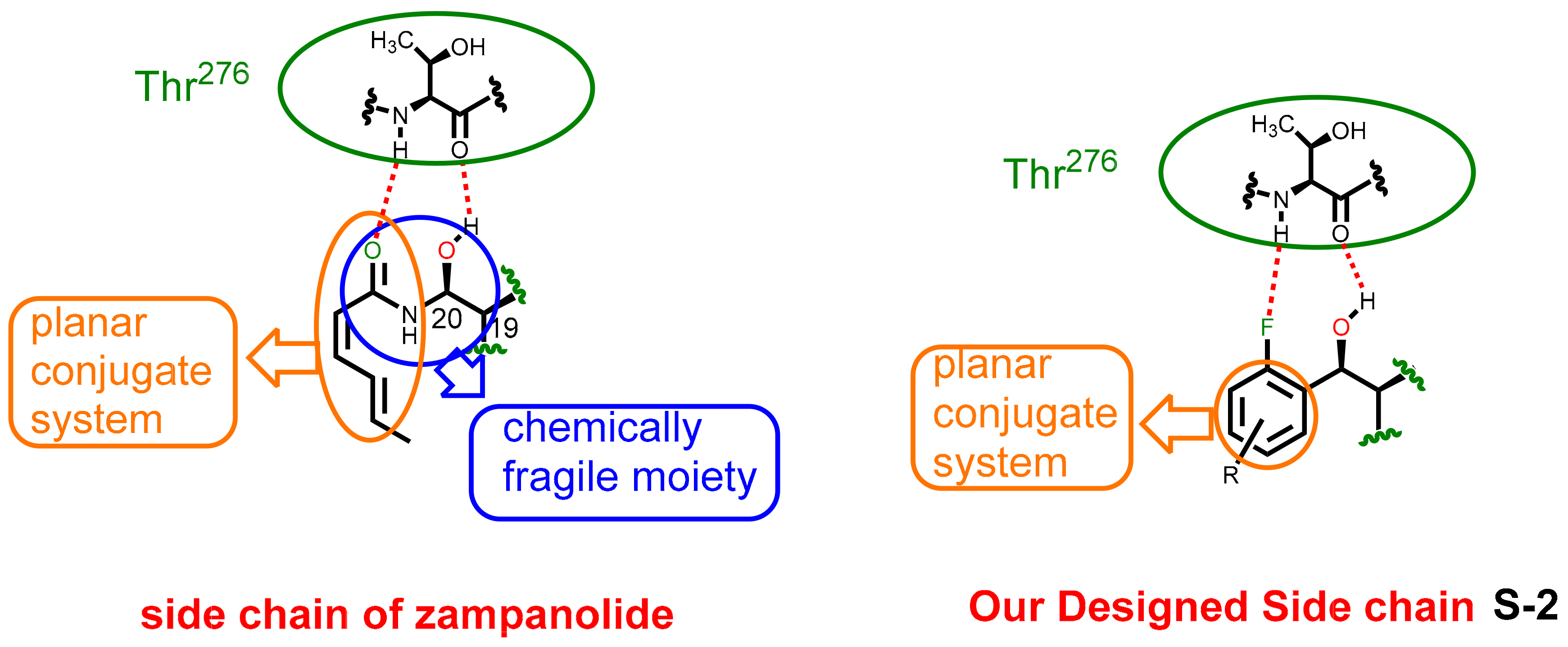Molecules 25 00362 g002