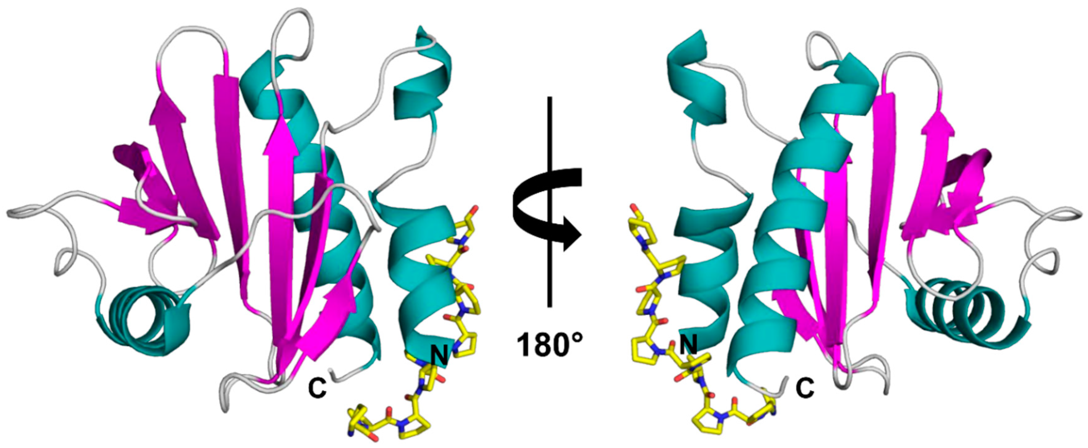 Molecules 25 00369 g001