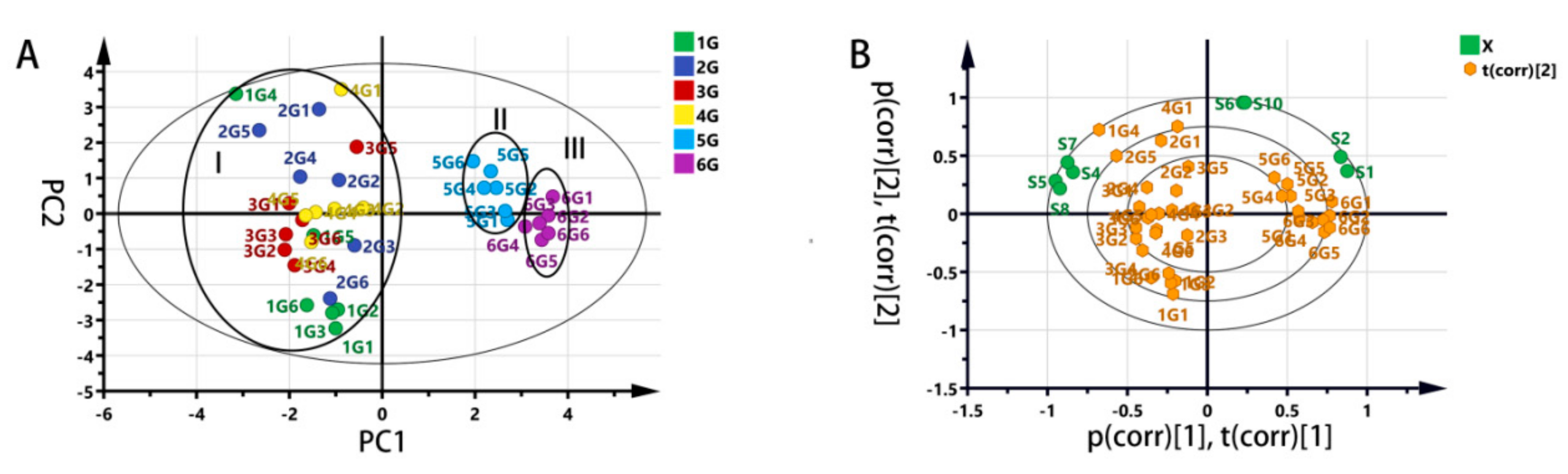 Molecules 25 00380 g005