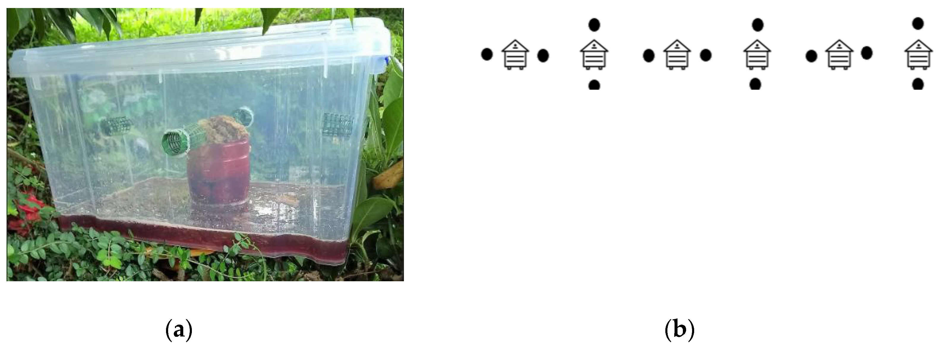 Molecules 25 00384 g005 Molecules 25 00384 g005