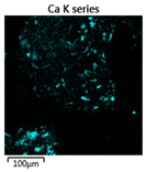 Molecules 25 00386 i001 Molecules 25 00386 i001