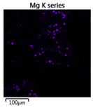Molecules 25 00386 i003 Molecules 25 00386 i003