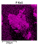 Molecules 25 00386 i005 Molecules 25 00386 i005