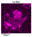 Molecules 25 00386 i006 Molecules 25 00386 i006