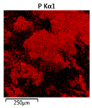 Molecules 25 00386 i010 Molecules 25 00386 i010